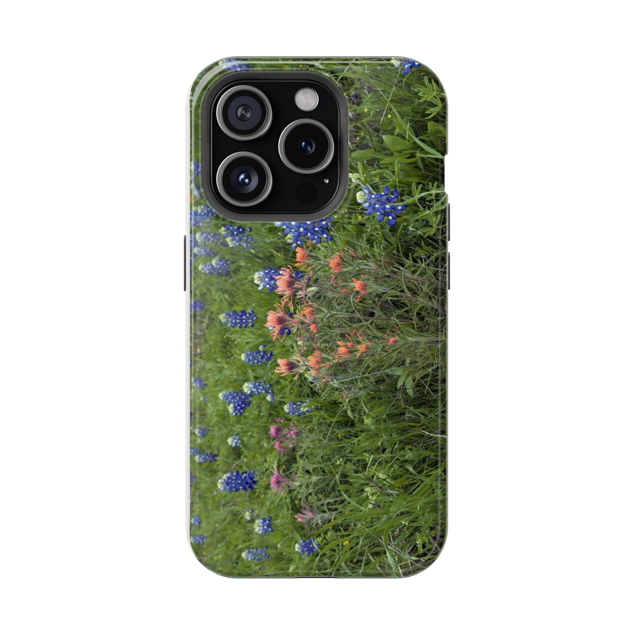 Texas Bluebonnets and Indian Paintbrushes