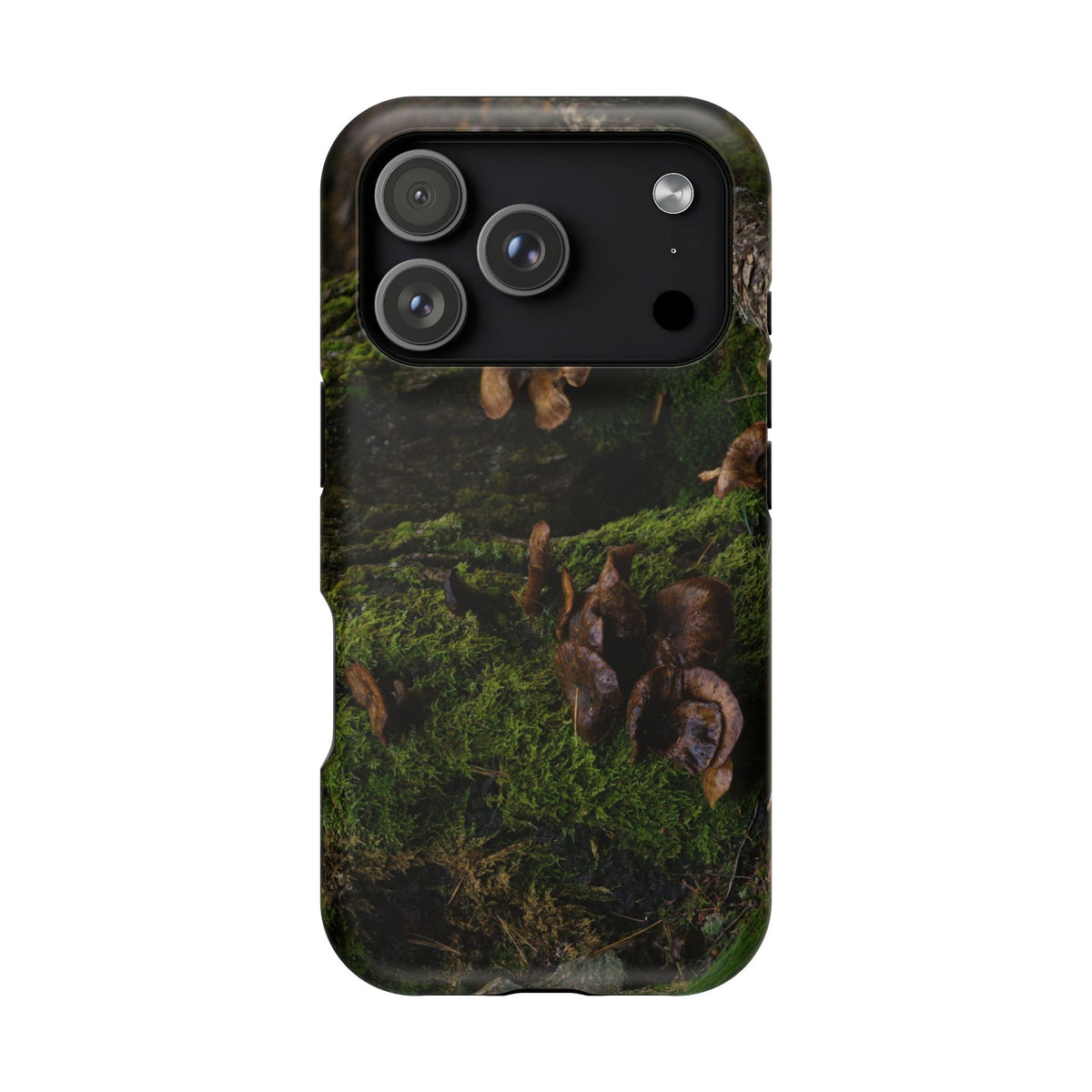 iPhone MagSafe Case | Acadia Forest Fungi | Acadia National Park | My Blu Horizon