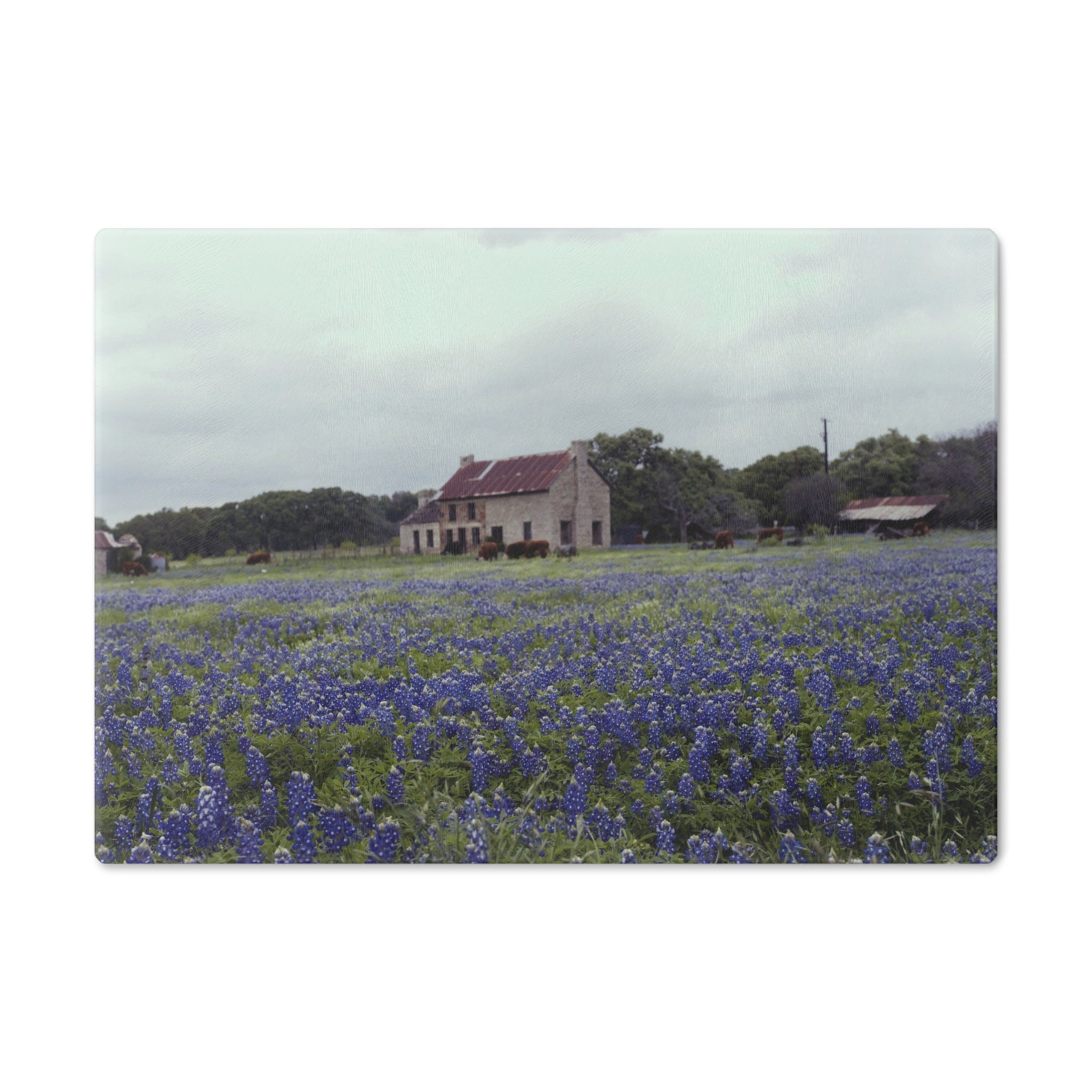 Tempered Glass Cutting Board - Texas Bluebonnets, Marble Falls House- My Blu Horizon