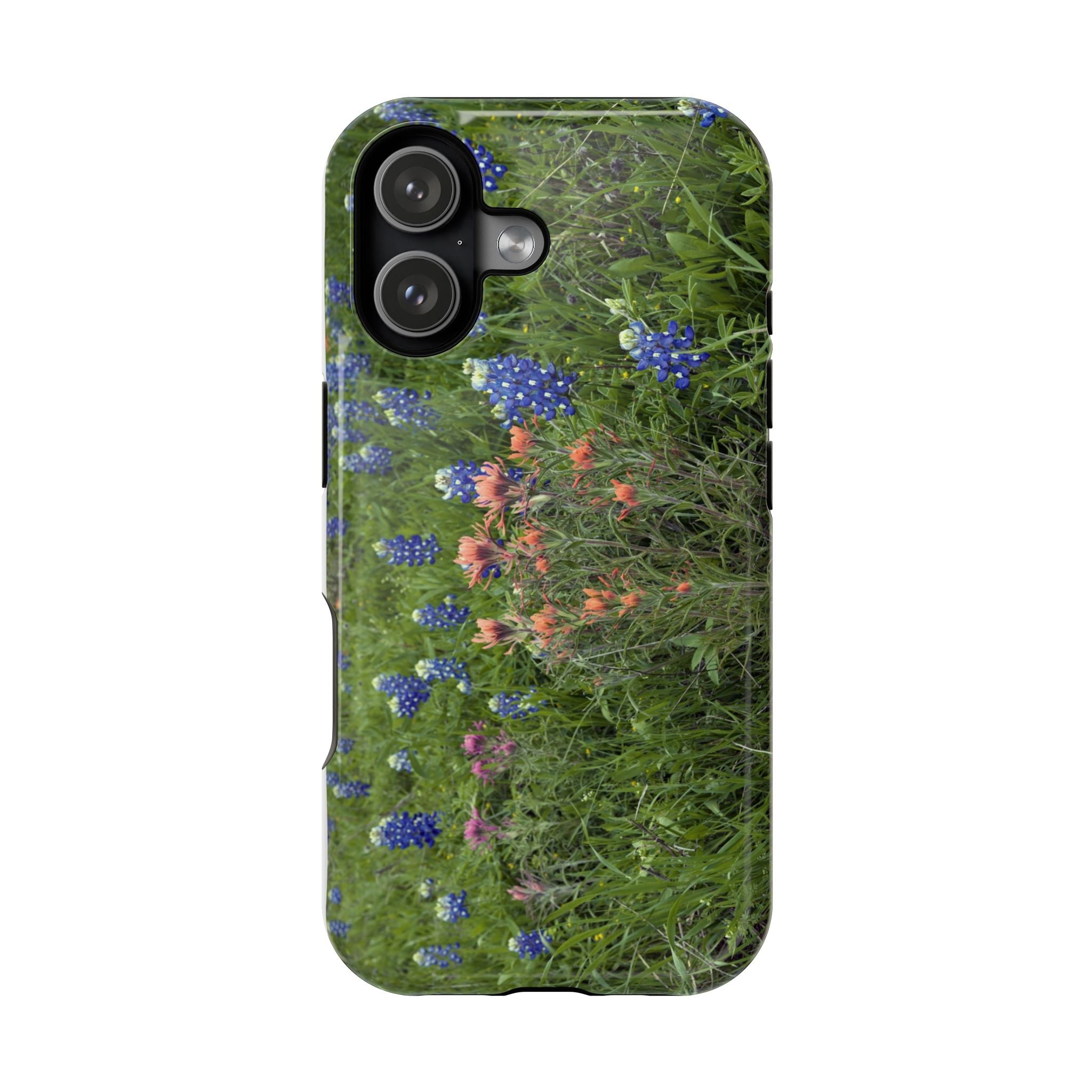 Texas Bluebonnets and Indian Paintbrushes
