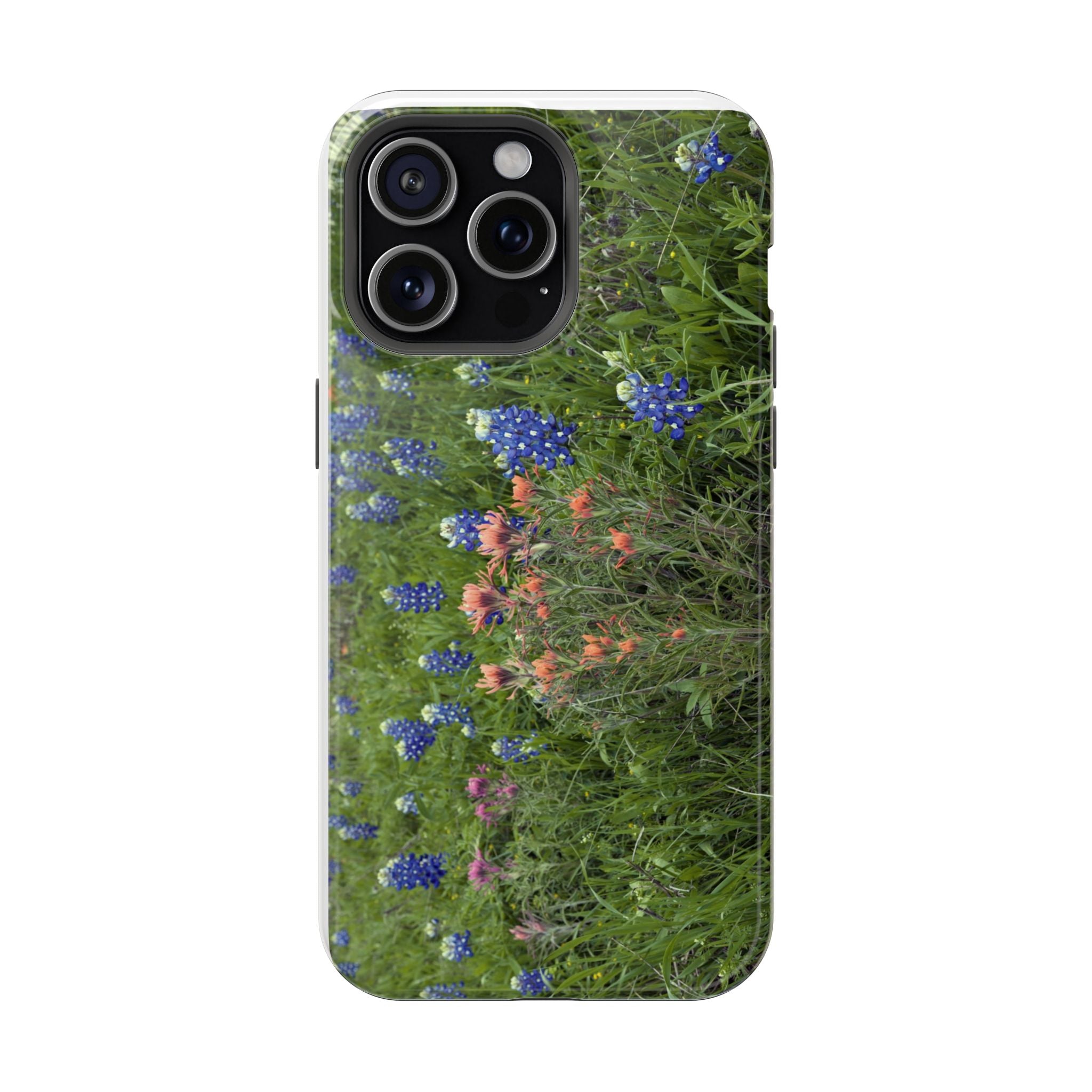 Texas Bluebonnets and Indian Paintbrushes