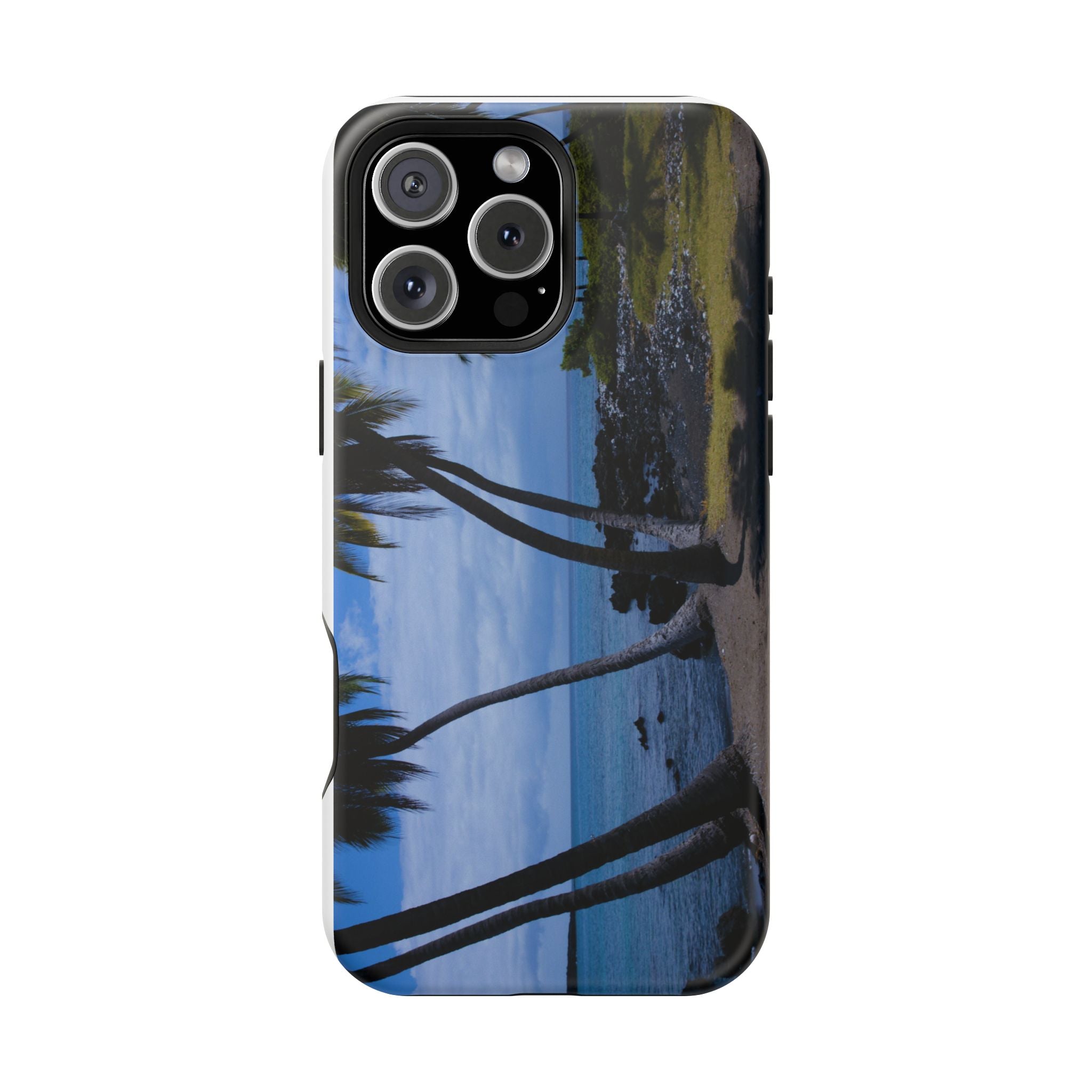 Hawaiian Beach and Palm Trees