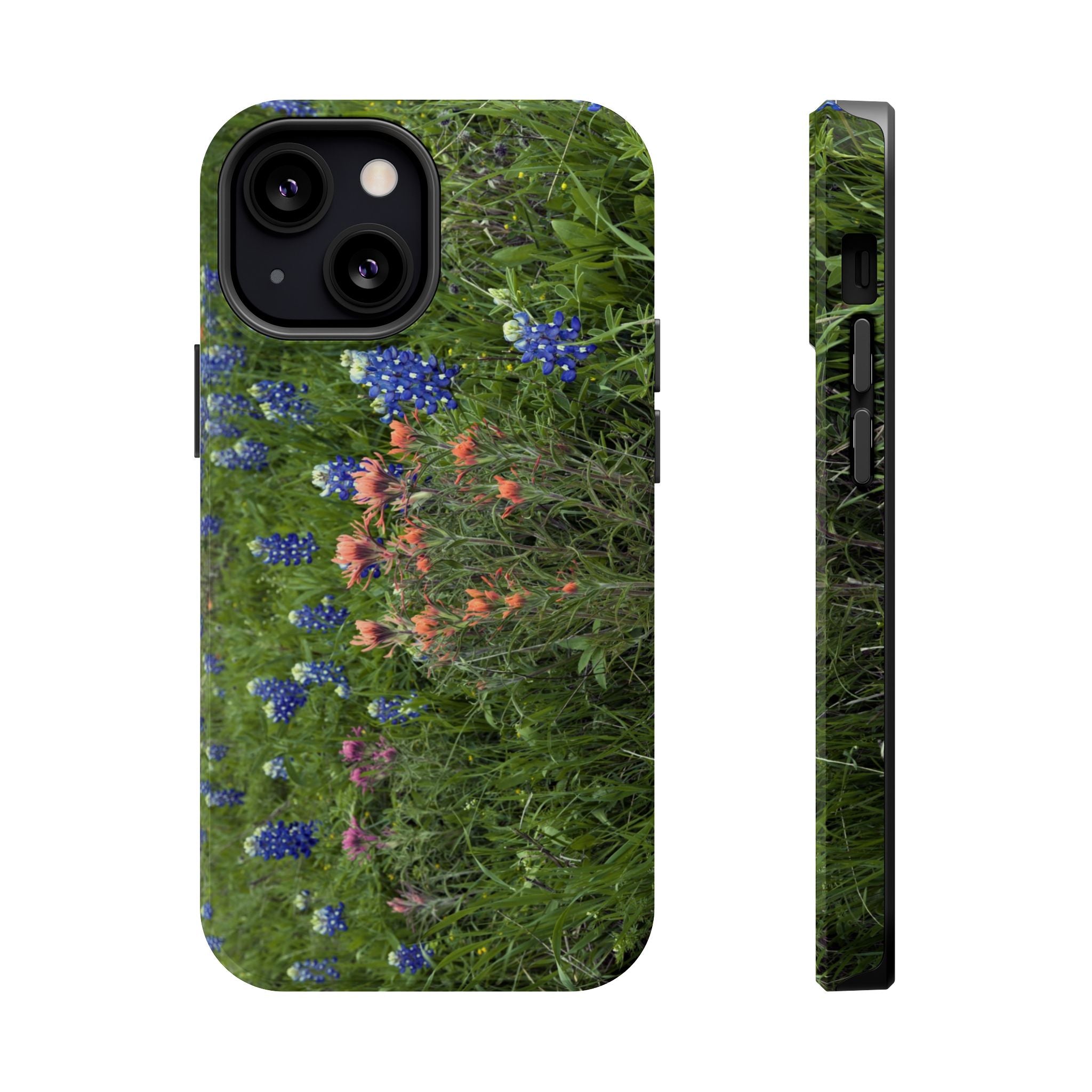 Texas Bluebonnets and Indian Paintbrushes