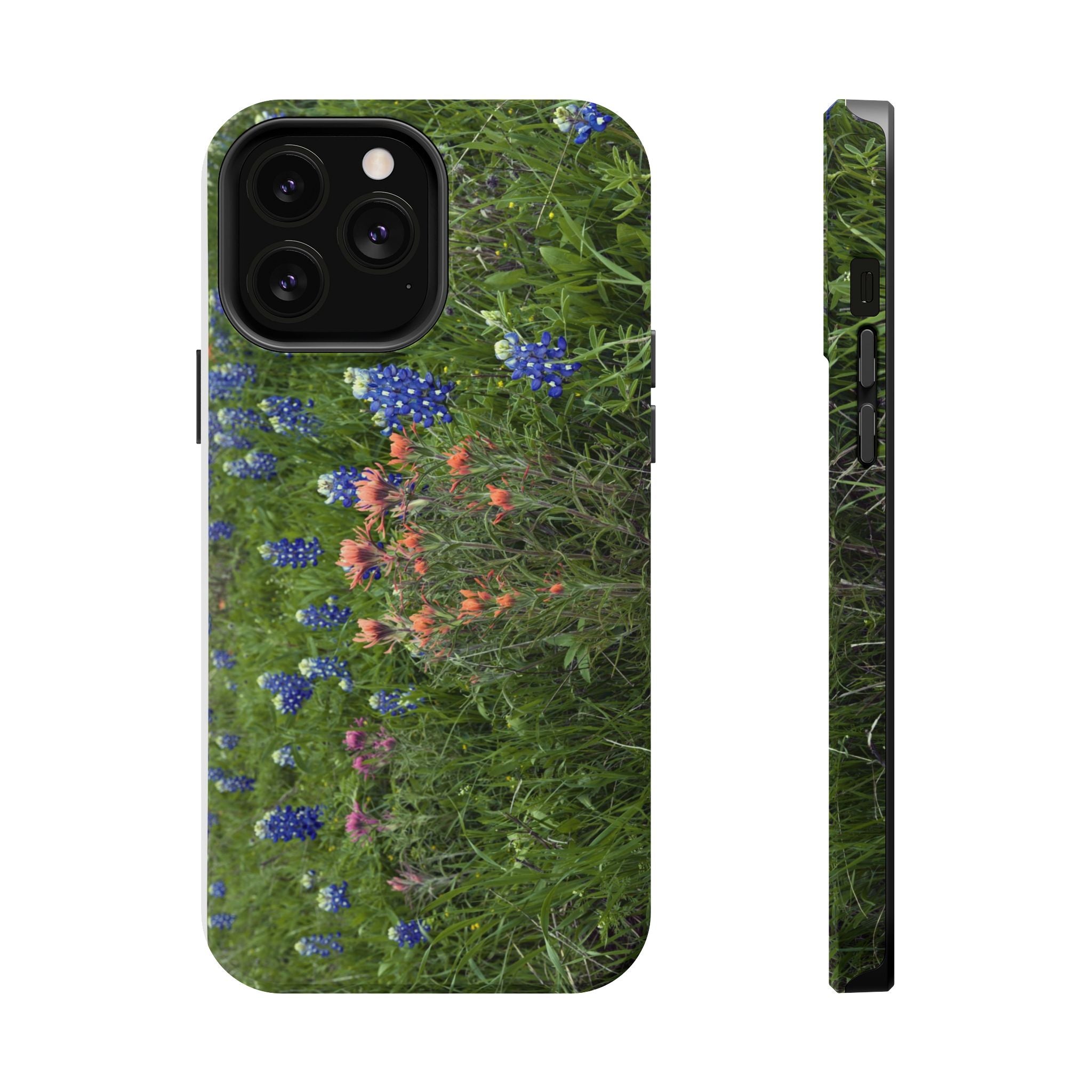 Texas Bluebonnets and Indian Paintbrushes