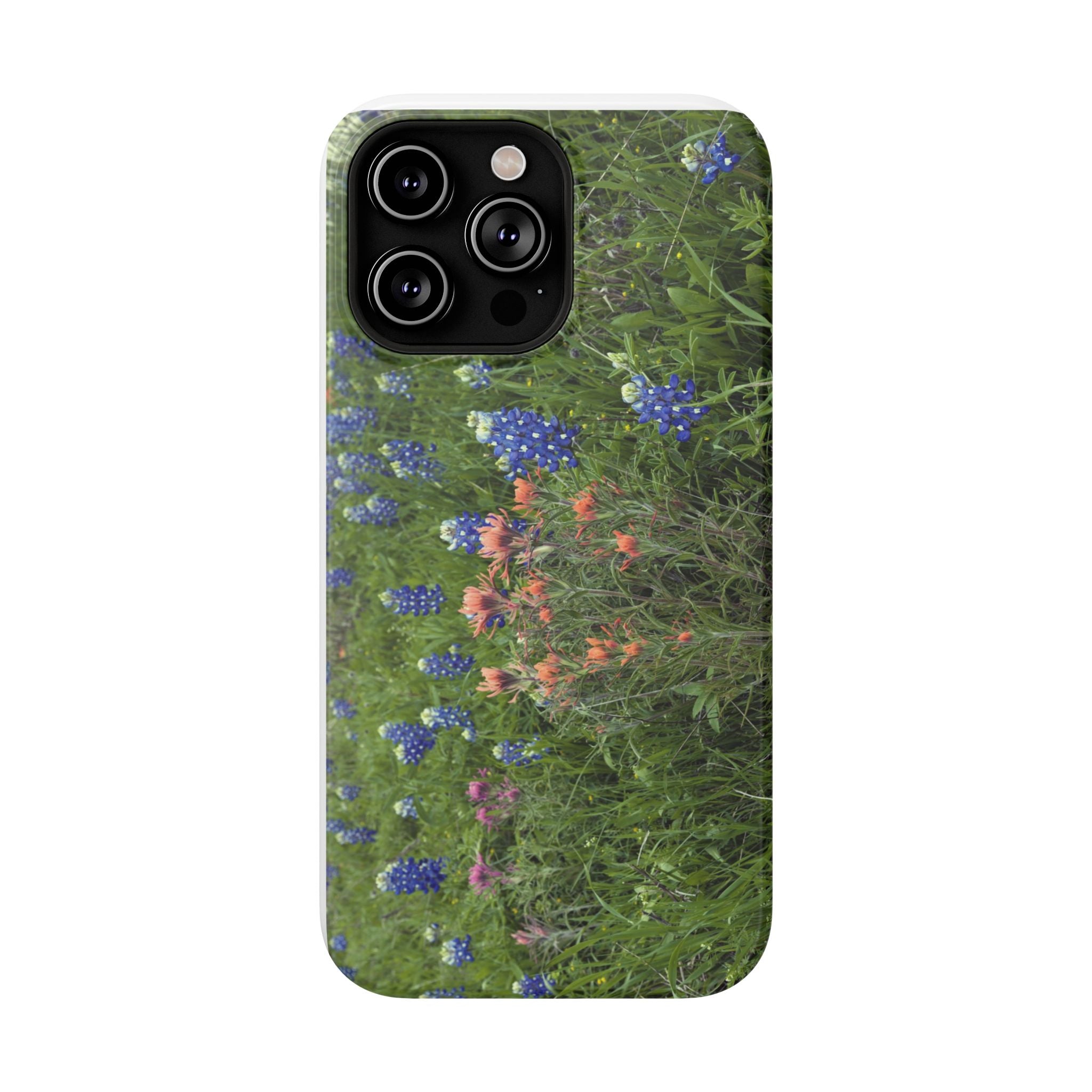 Texas Bluebonnets and Indian Paintbrushes