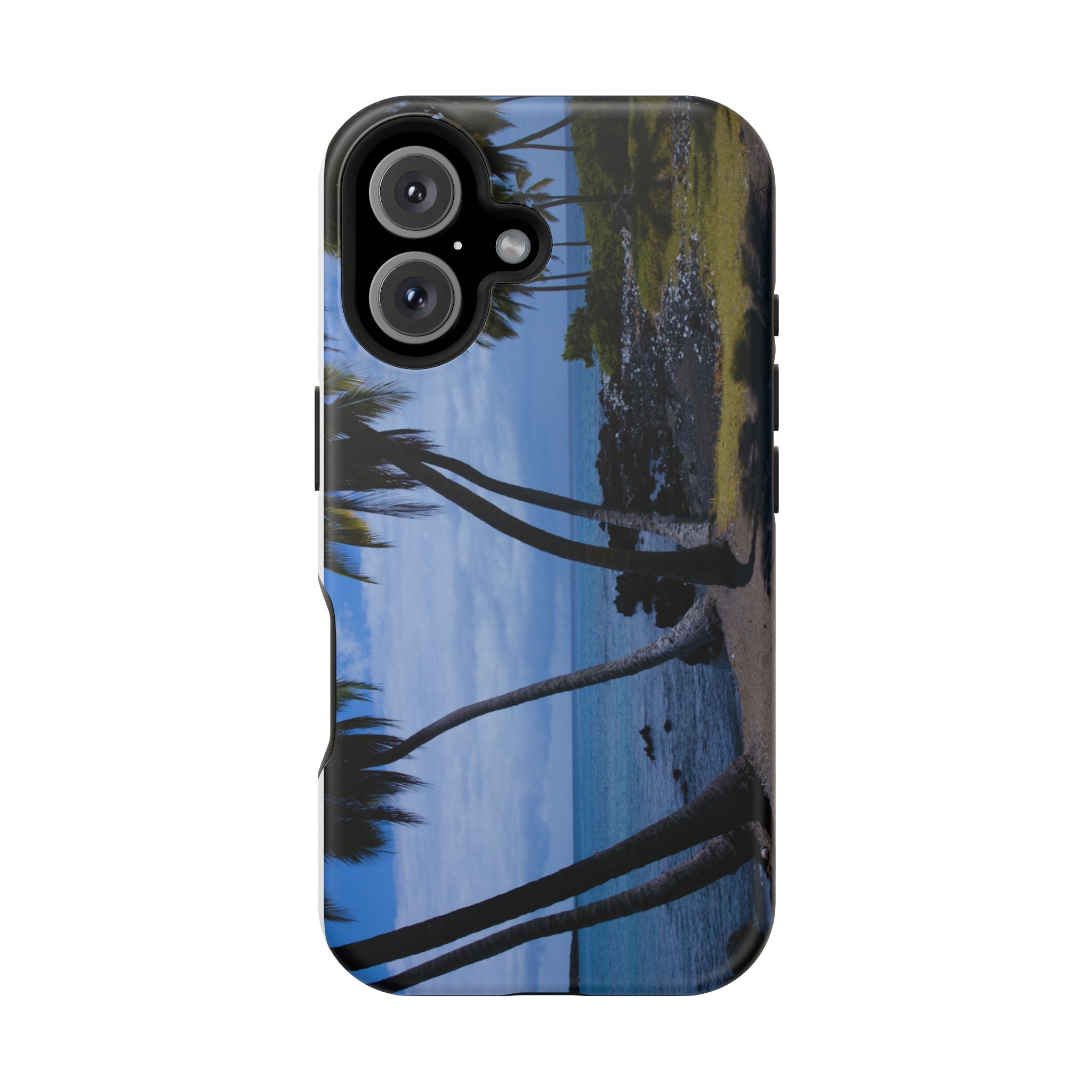 Hawaiian Beach and Palm Trees