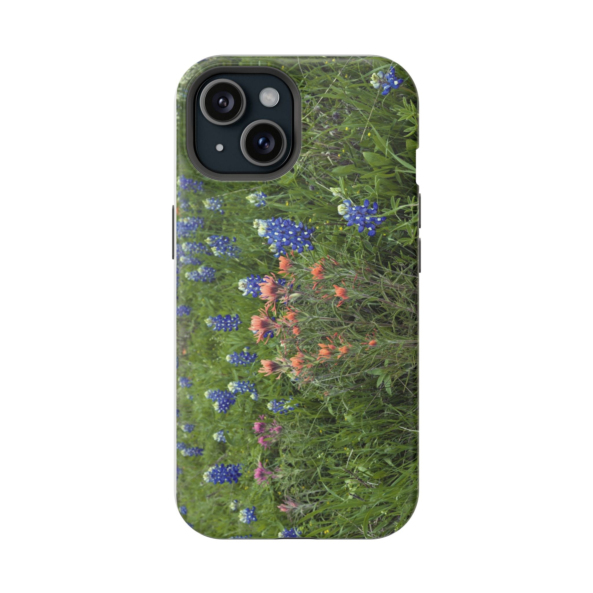 Texas Bluebonnets and Indian Paintbrushes