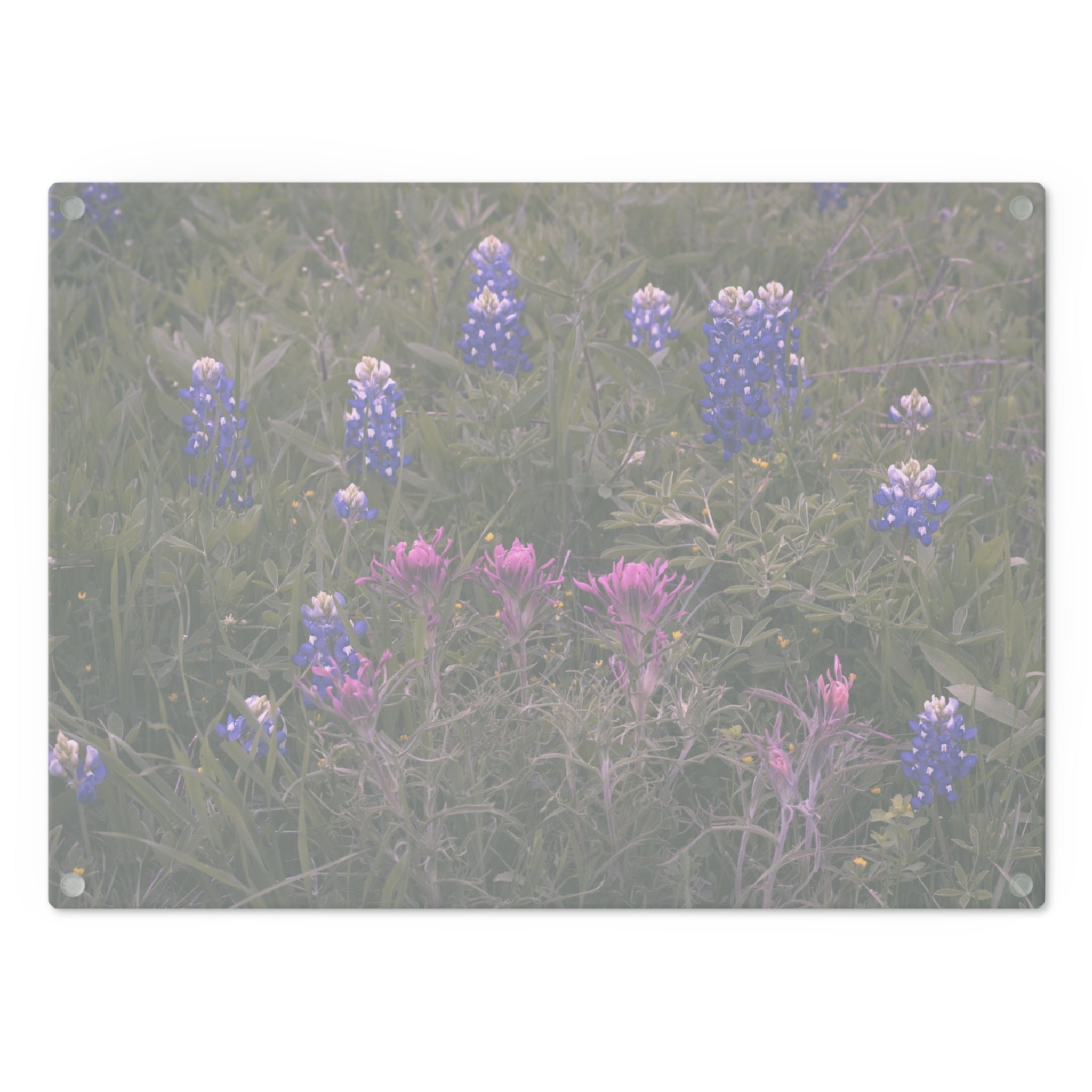 Tempered Glass Cutting Board- Texas Bluebonnets and Indian Paintbrushes - My Blu Horizon