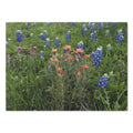 Tempered Glass Cutting Board - Texas Icons Bluebonnets and Paintbrushes - My Blu Horizon