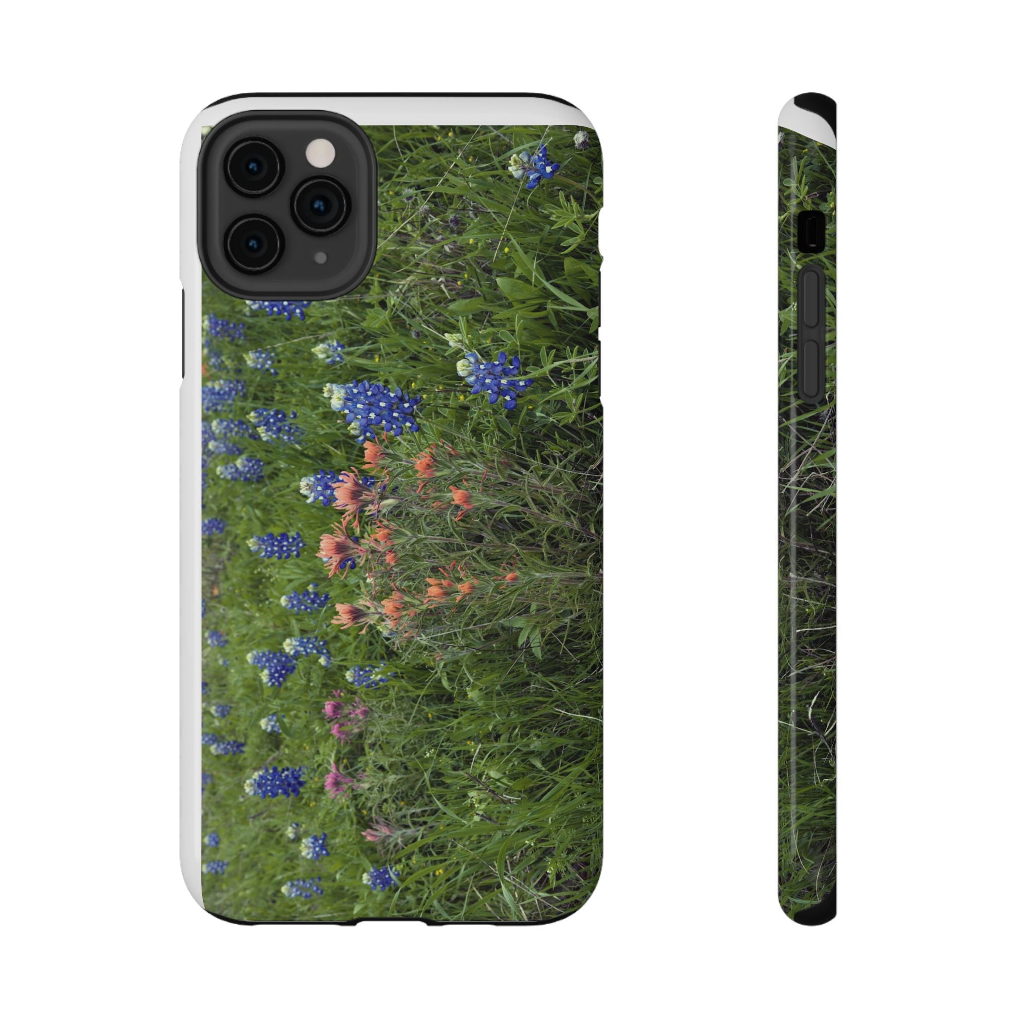 Texas Bluebonnets and Indian Paintbrushes