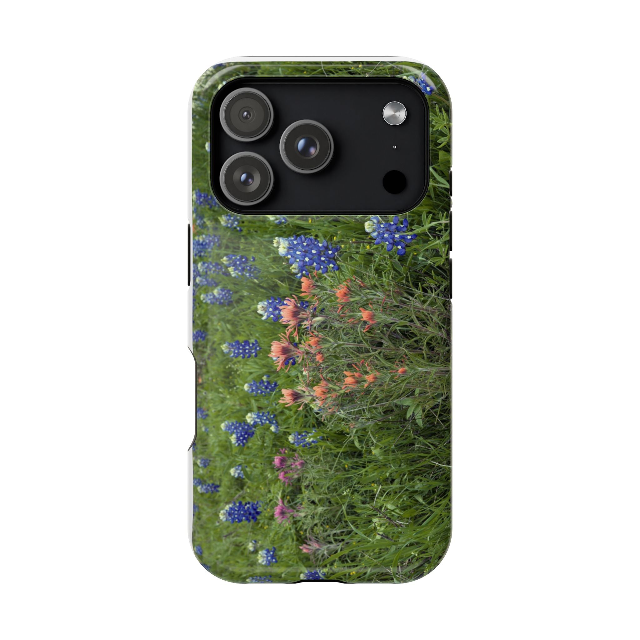 Texas Bluebonnets and Indian Paintbrushes