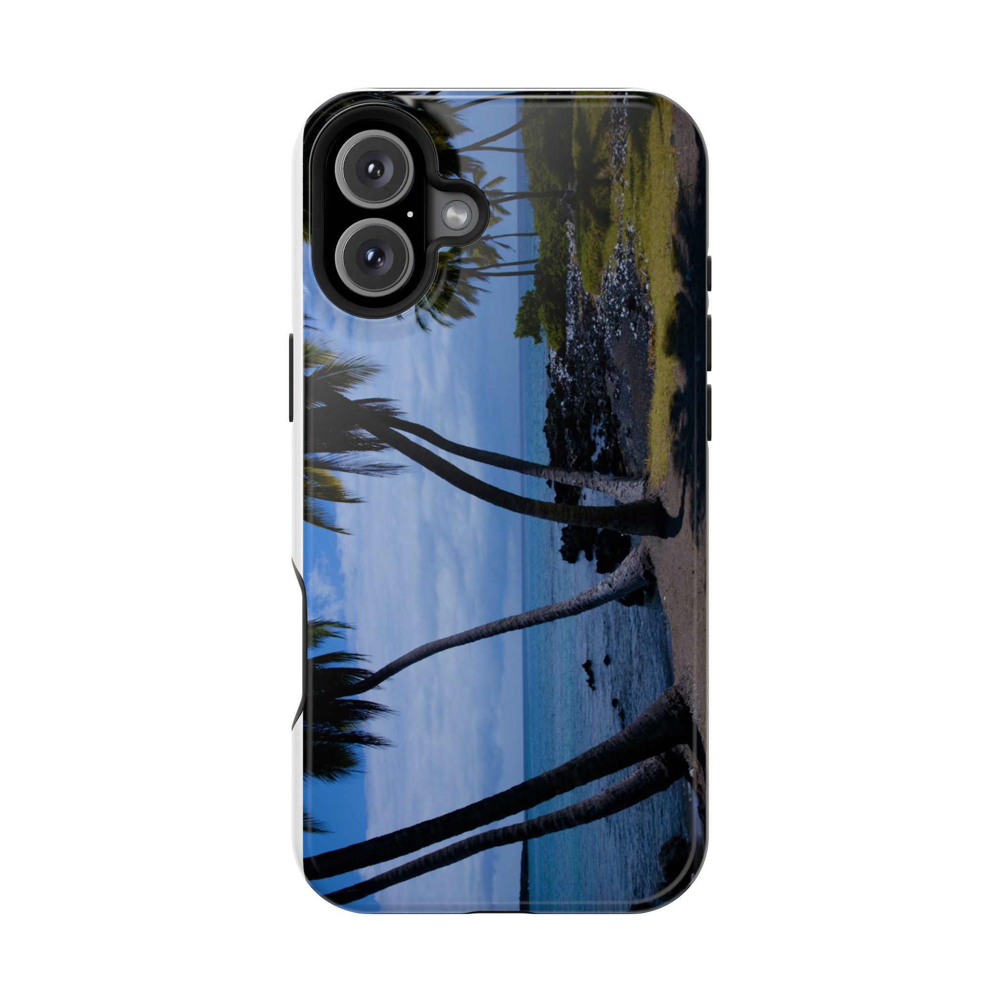 Hawaiian Beach and Palm Trees