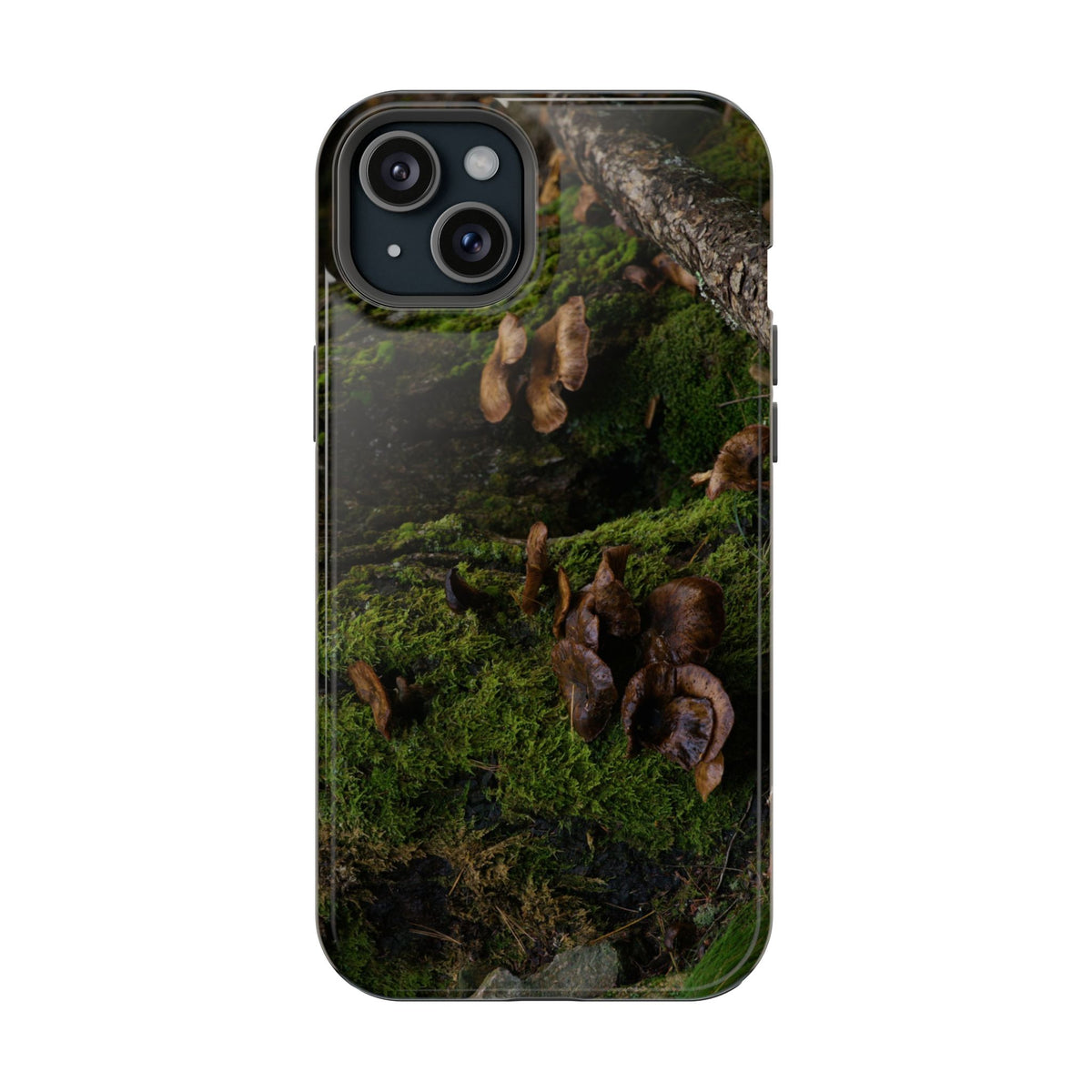 iPhone MagSafe Case | Acadia Forest Fungi | Acadia National Park | My Blu Horizon