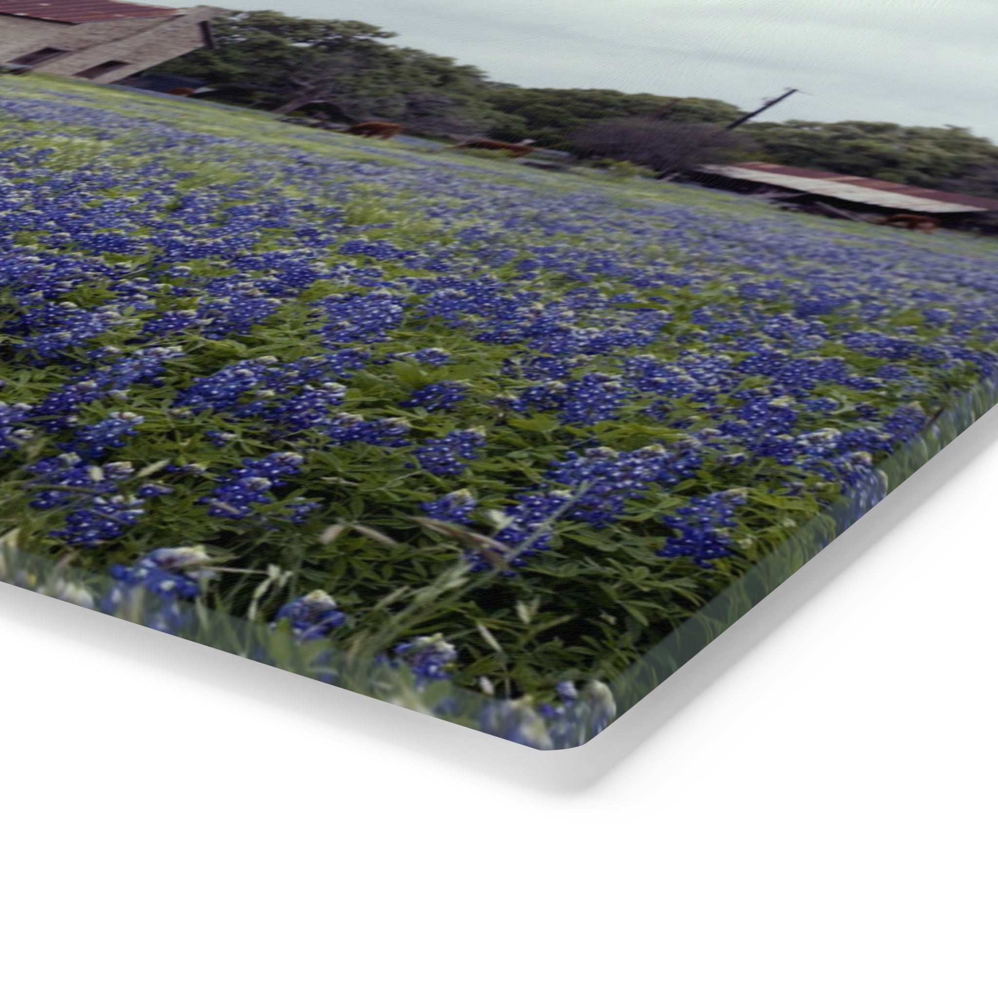 Tempered Glass Cutting Board - Texas Bluebonnets, Marble Falls House- My Blu Horizon