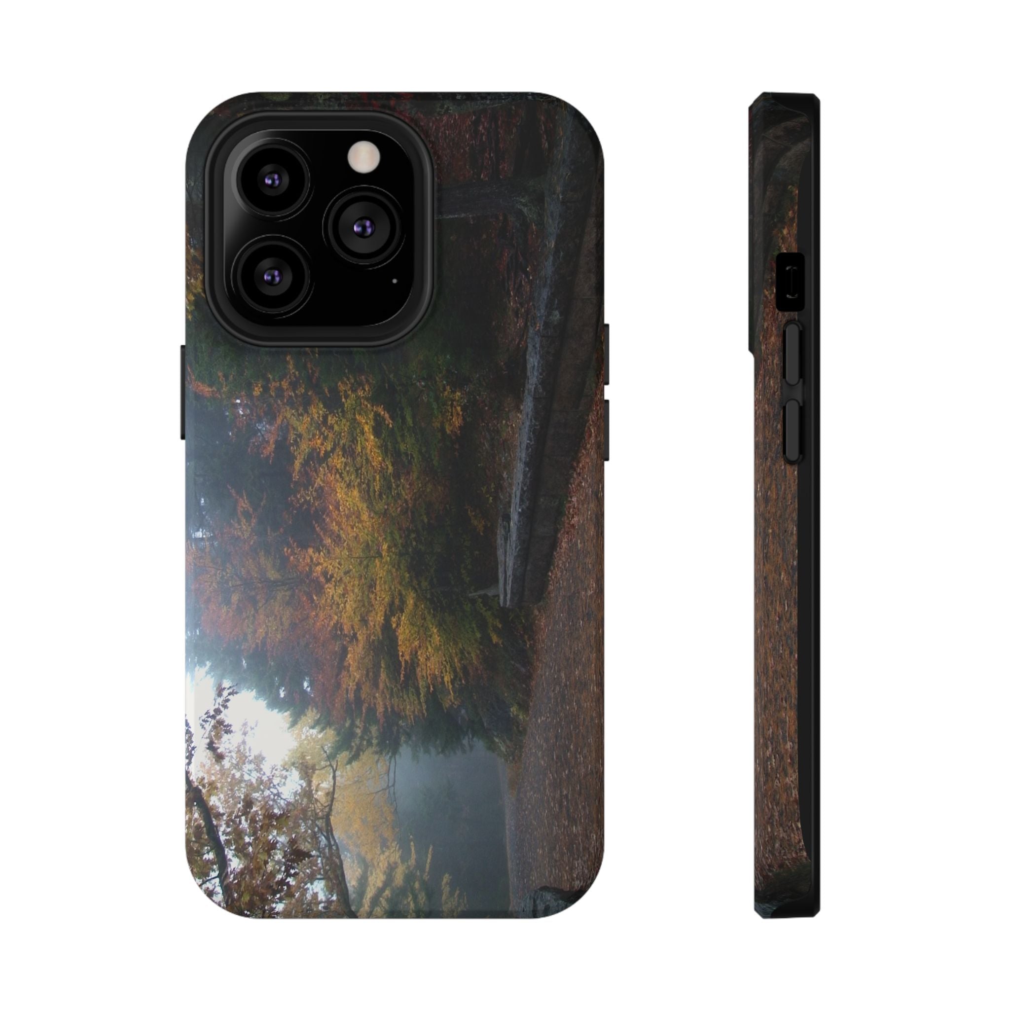 Phone Case | Waterfall Bridge Carriage Road View | Acadia National Park | My Blu Horizon