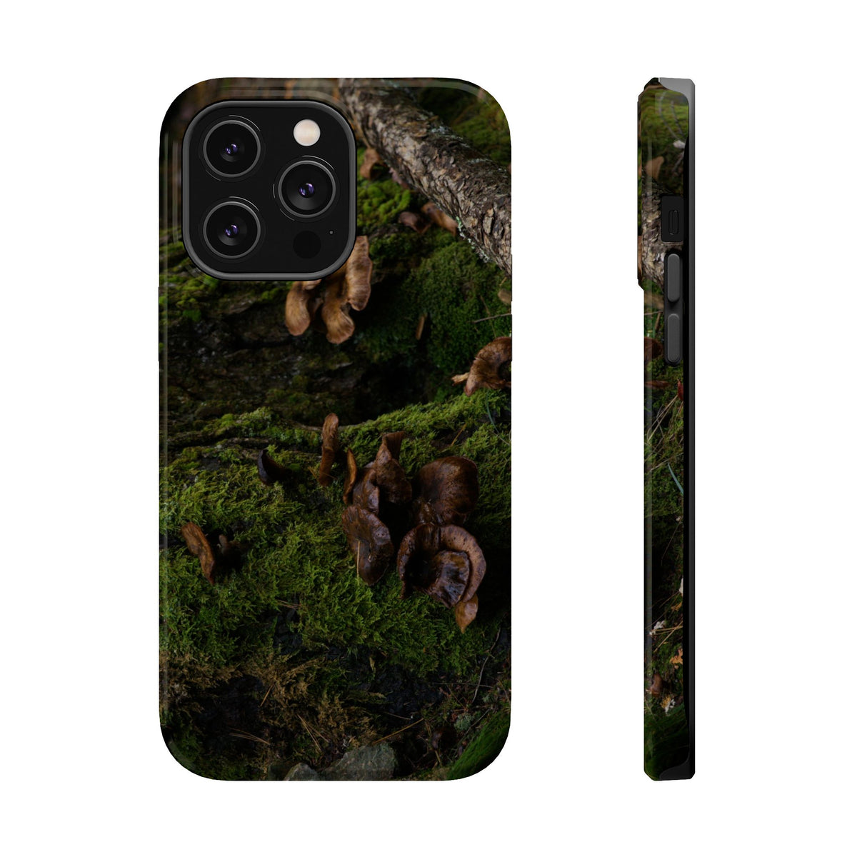 iPhone MagSafe Case | Acadia Forest Fungi | Acadia National Park | My Blu Horizon