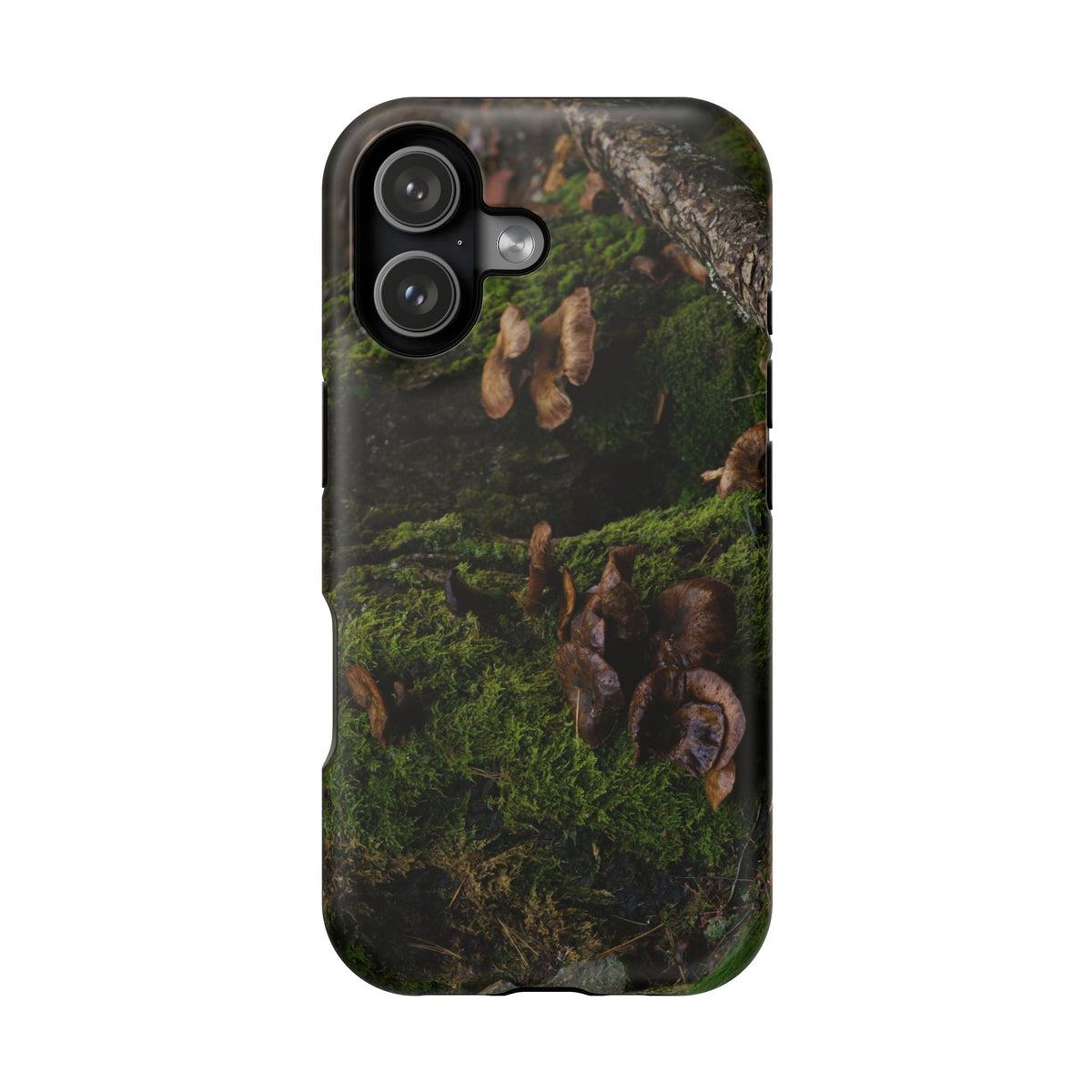 iPhone MagSafe Case | Acadia Forest Fungi | Acadia National Park | My Blu Horizon