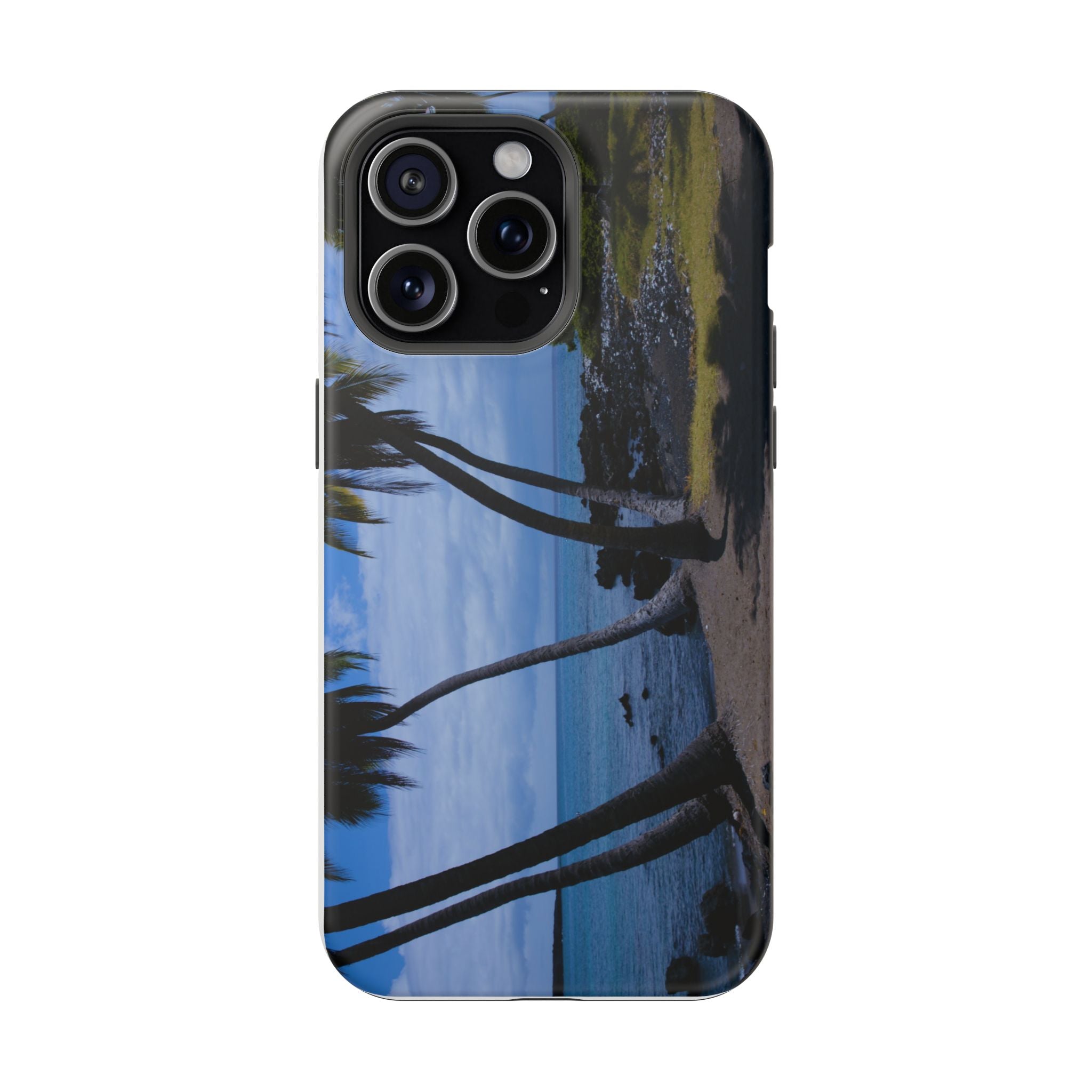Hawaiian Beach and Palm Trees