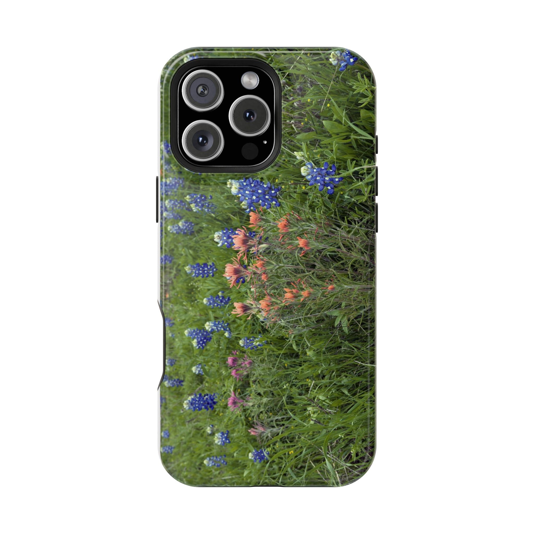 Texas Bluebonnets and Indian Paintbrushes