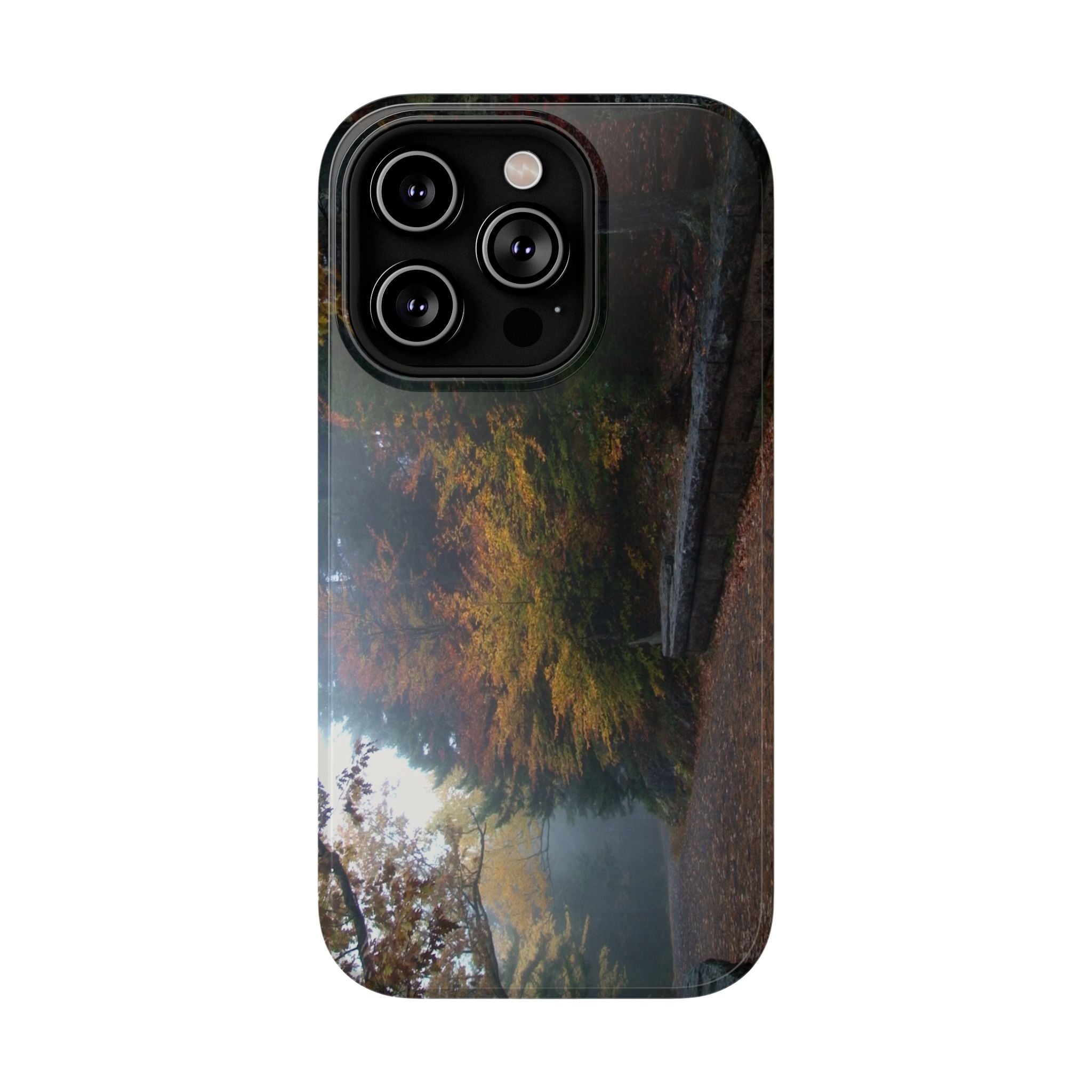 Phone Case | Waterfall Bridge Carriage Road View | Acadia National Park | My Blu Horizon