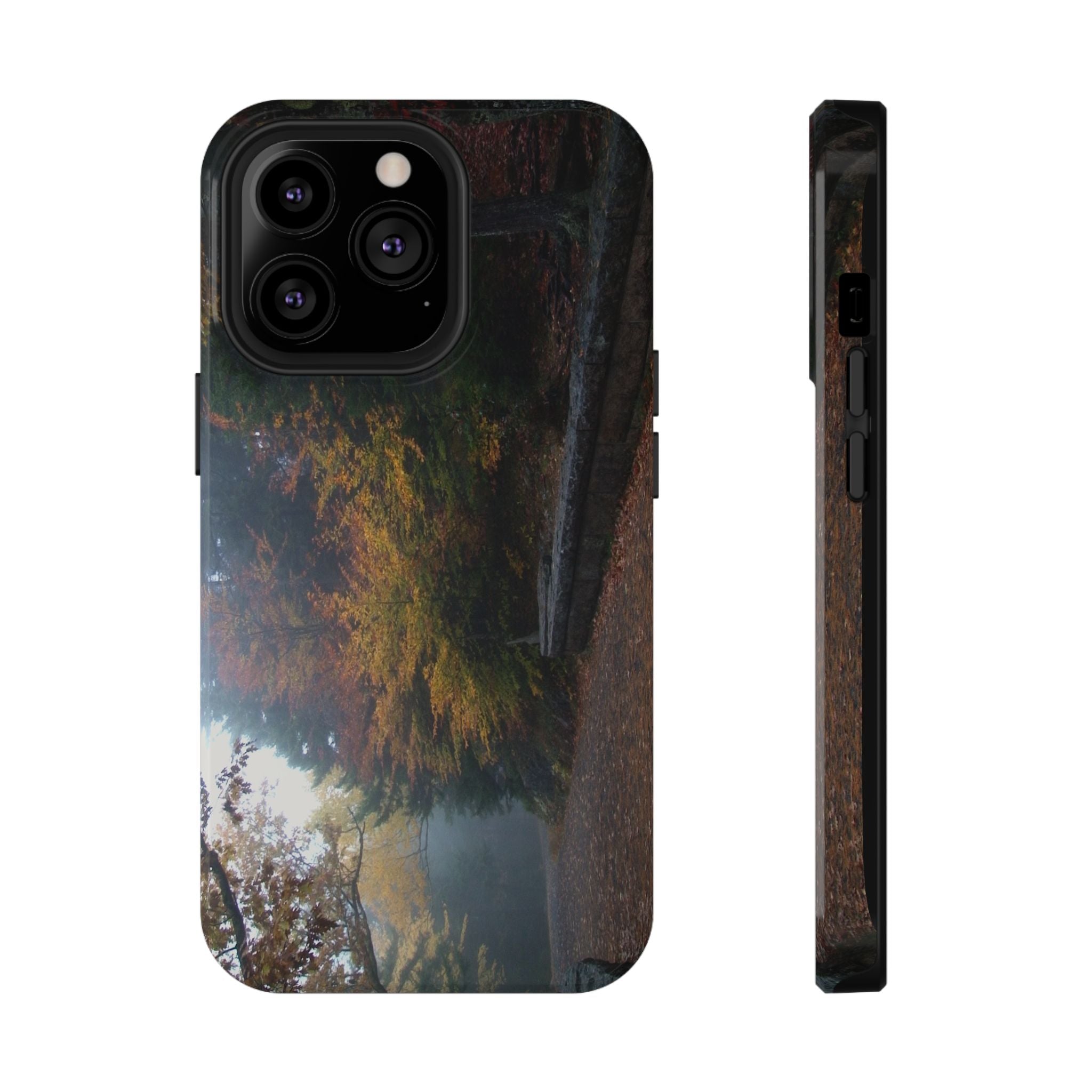 Phone Case | Waterfall Bridge Carriage Road View | Acadia National Park | My Blu Horizon