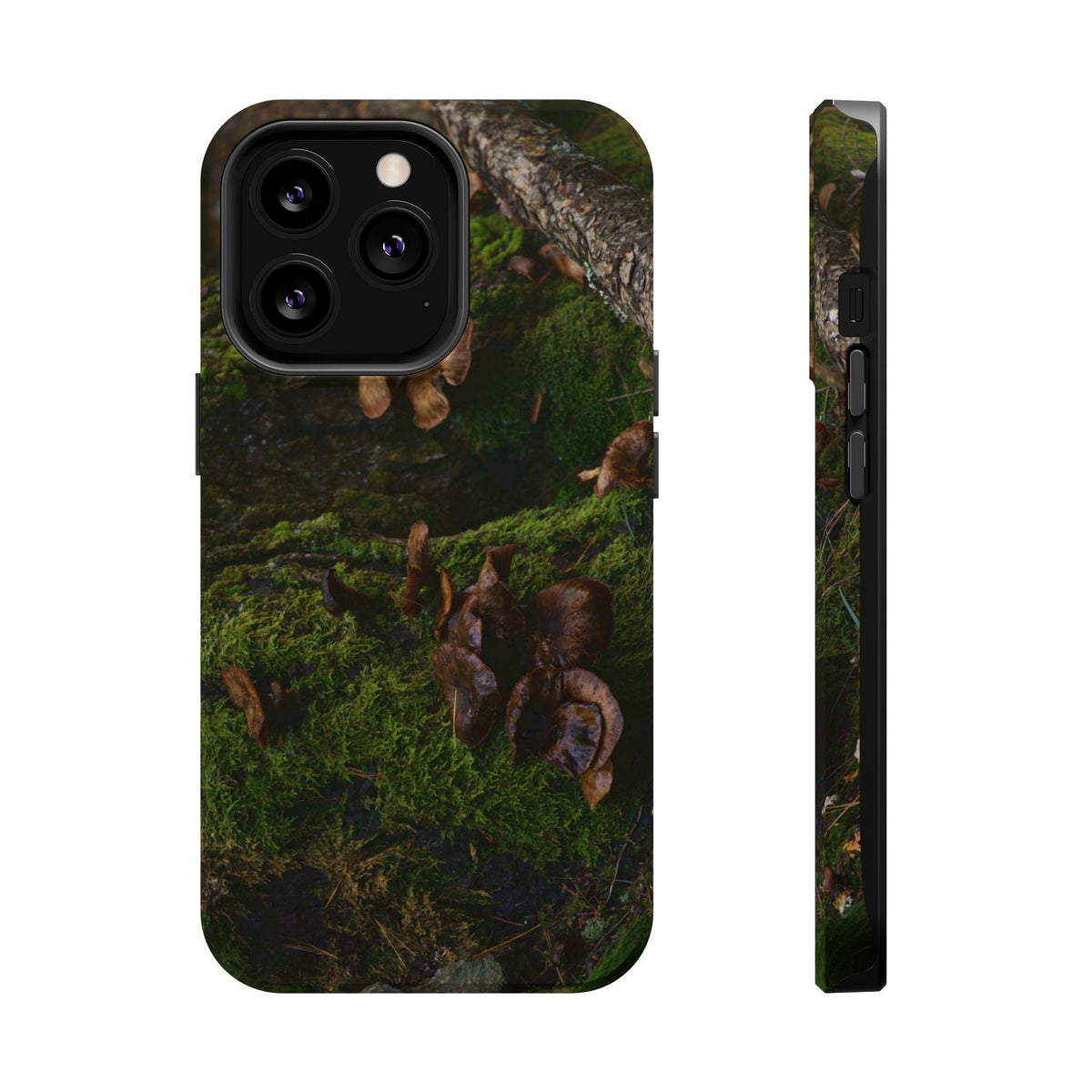 iPhone MagSafe Case | Acadia Forest Fungi | Acadia National Park | My Blu Horizon