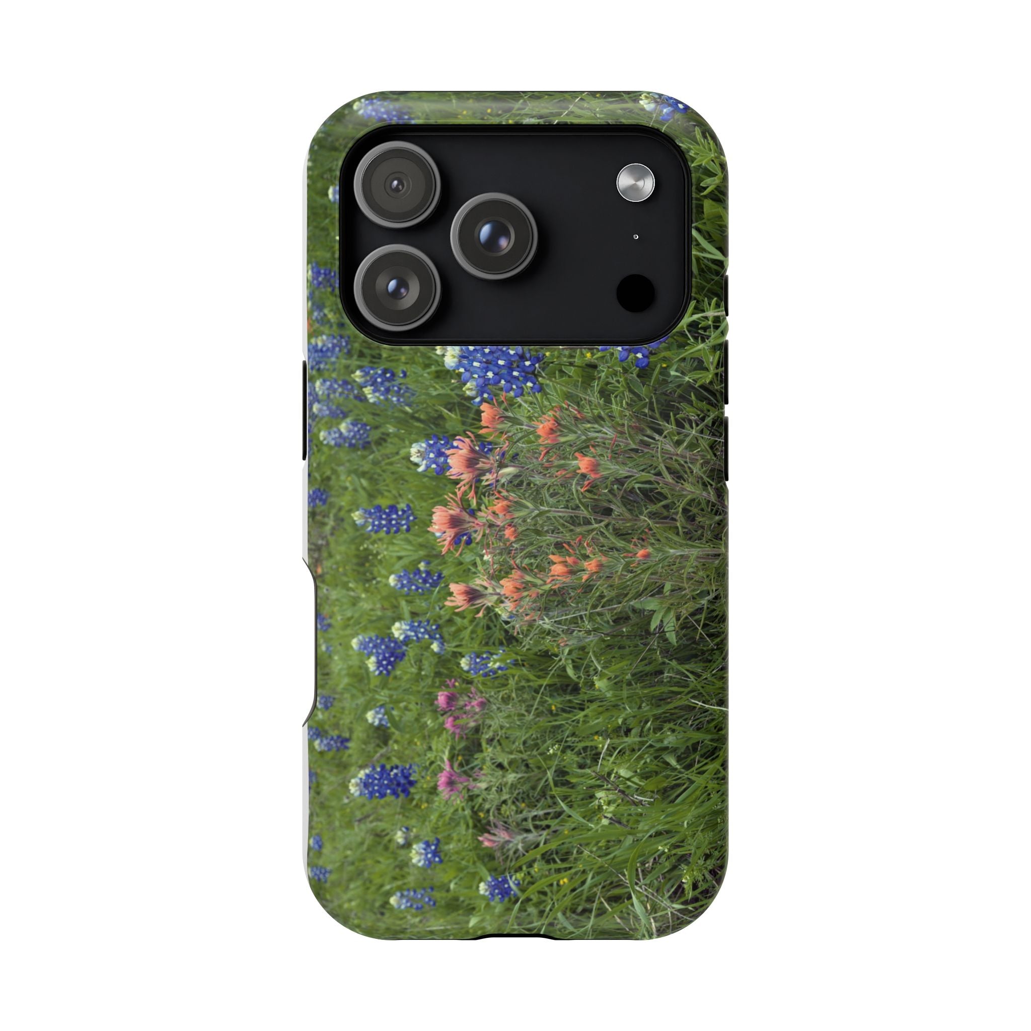 Texas Bluebonnets and Indian Paintbrushes