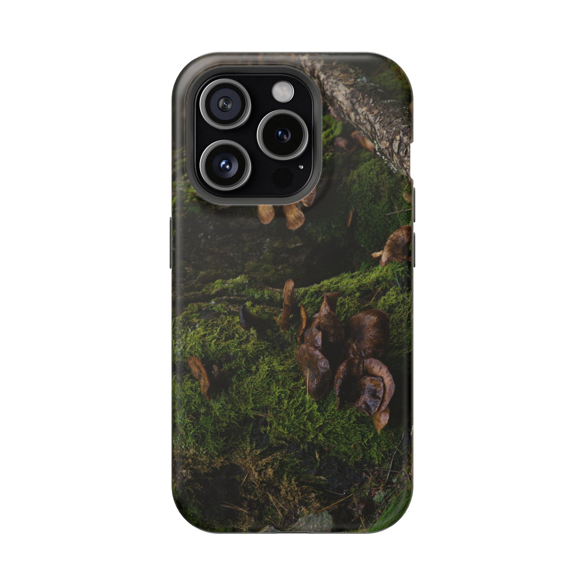 iPhone MagSafe Case | Acadia Forest Fungi | Acadia National Park | My Blu Horizon