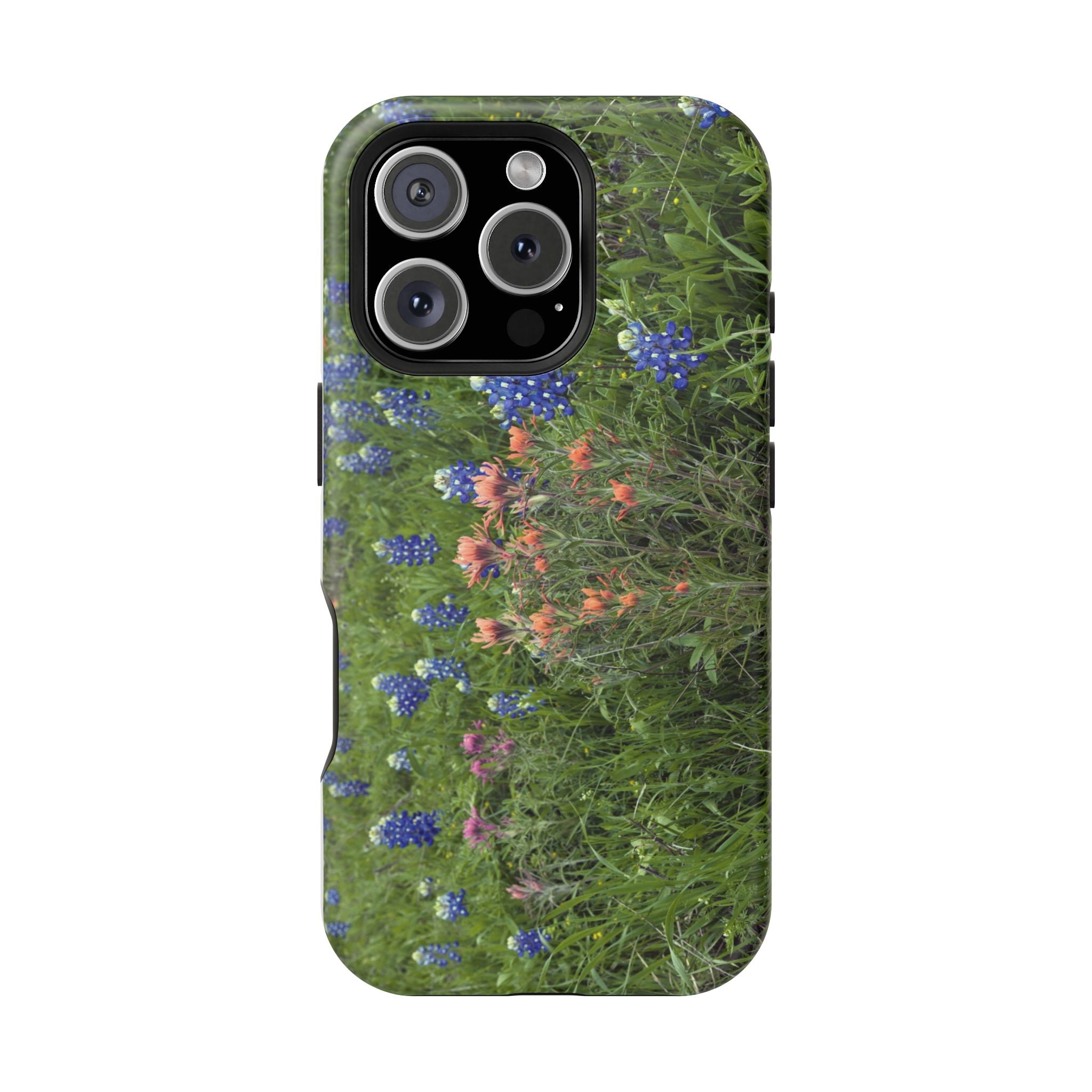 Texas Bluebonnets and Indian Paintbrushes