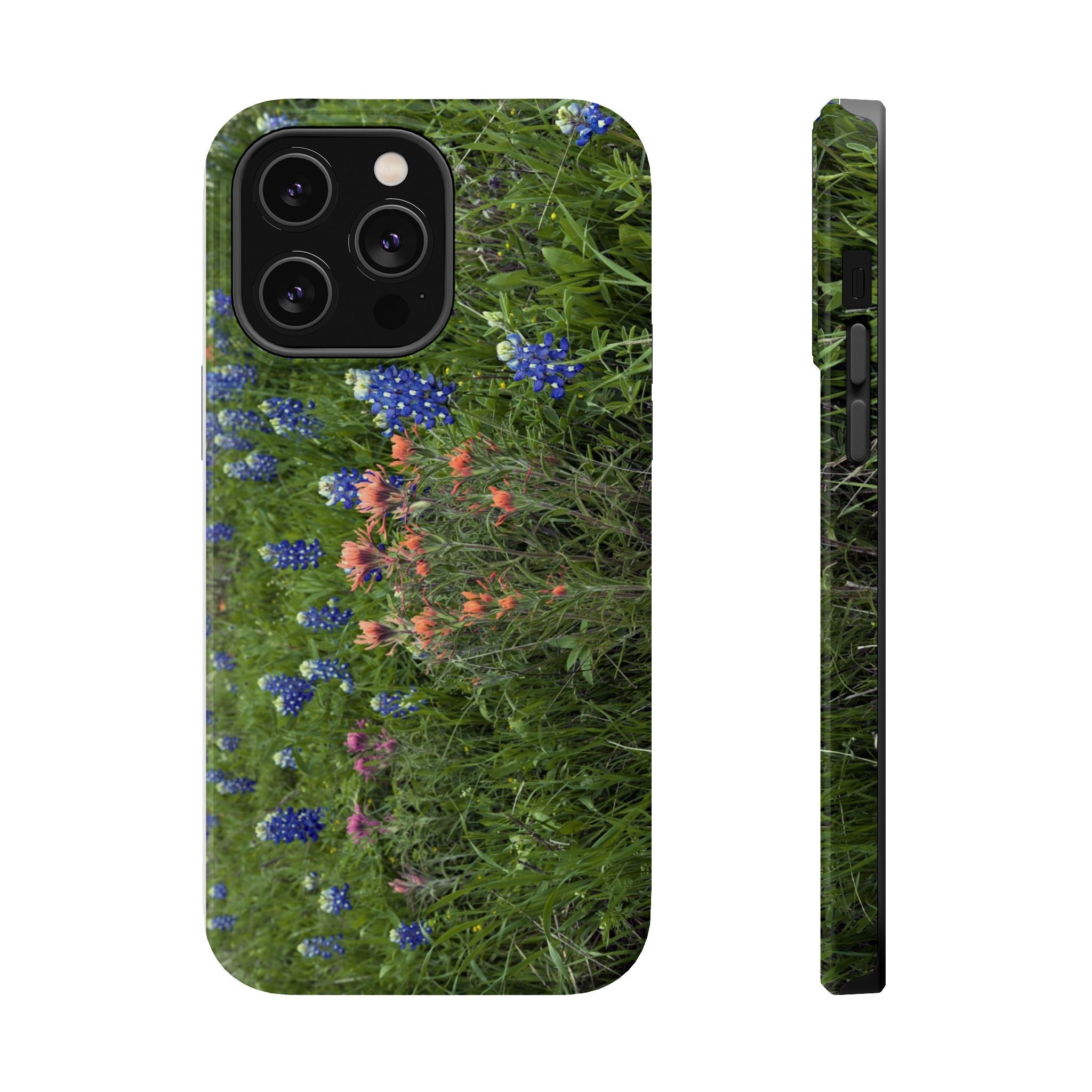 Texas Bluebonnets and Indian Paintbrushes