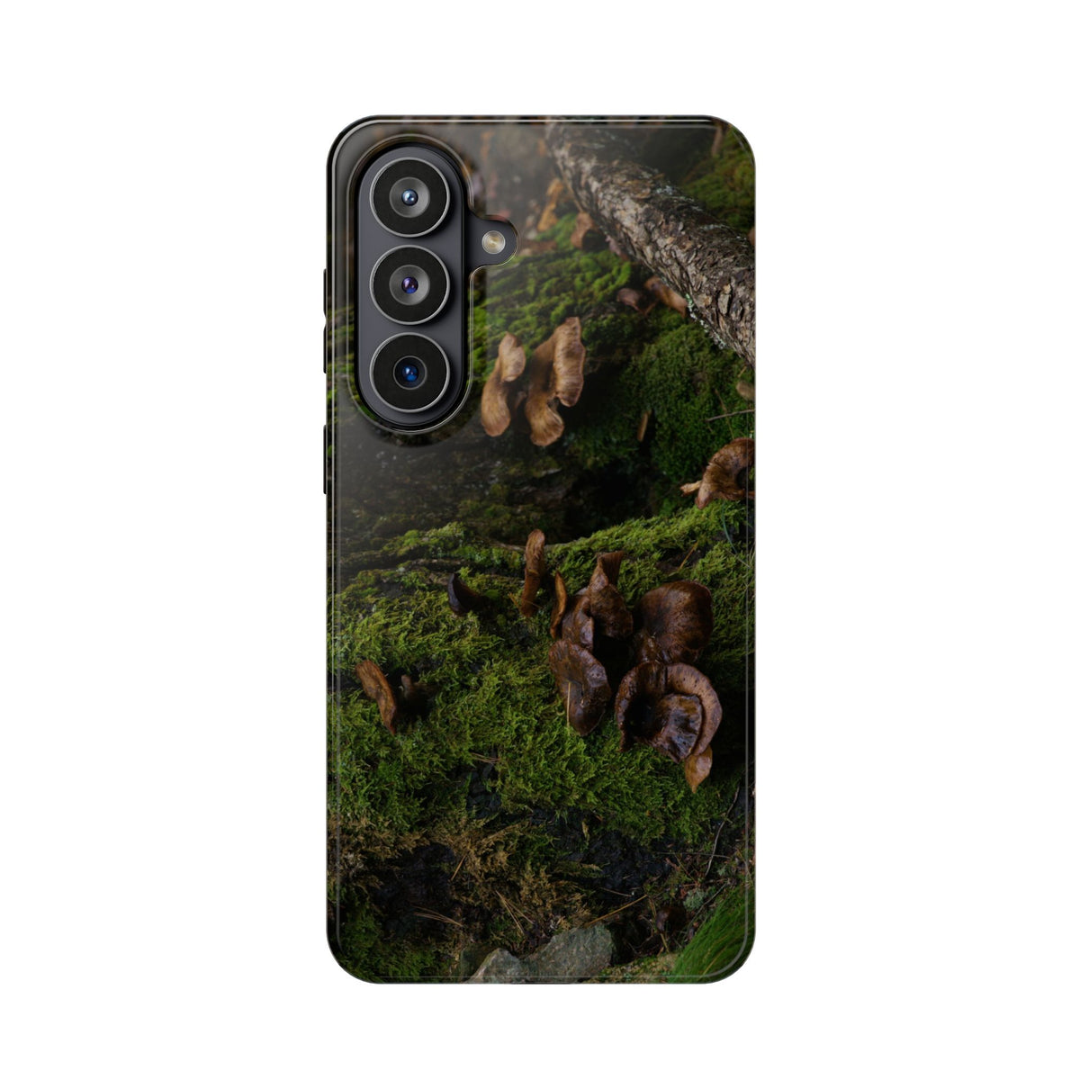iPhone MagSafe Case | Acadia Forest Fungi | Acadia National Park | My Blu Horizon
