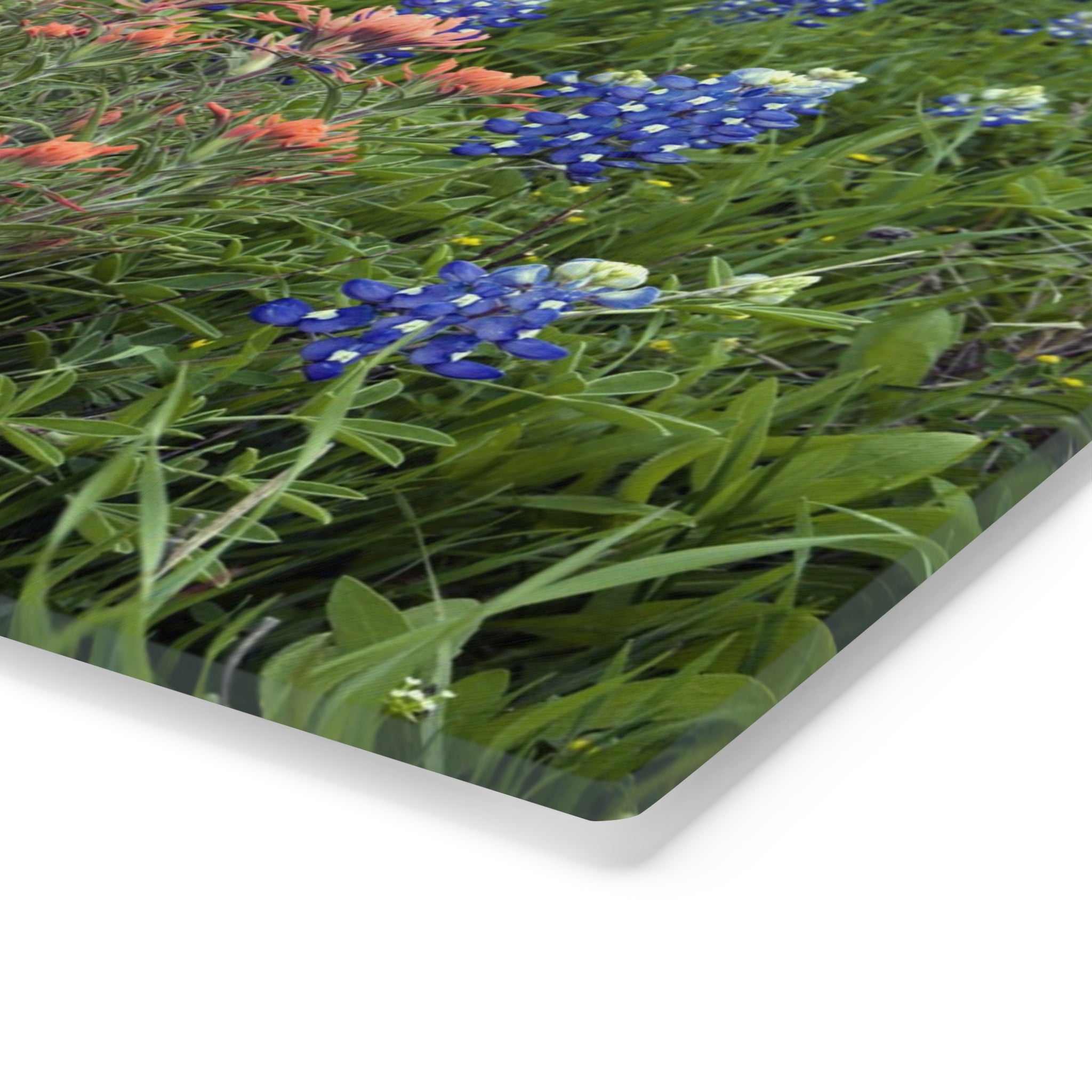 Tempered Glass Cutting Board - Texas Icons Bluebonnets and Paintbrushes - My Blu Horizon