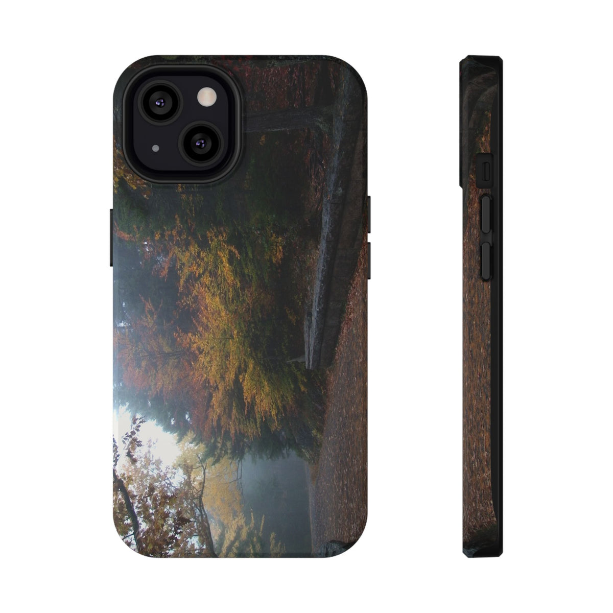 Phone Case | Waterfall Bridge Carriage Road | Acadia | My Blu Horizon