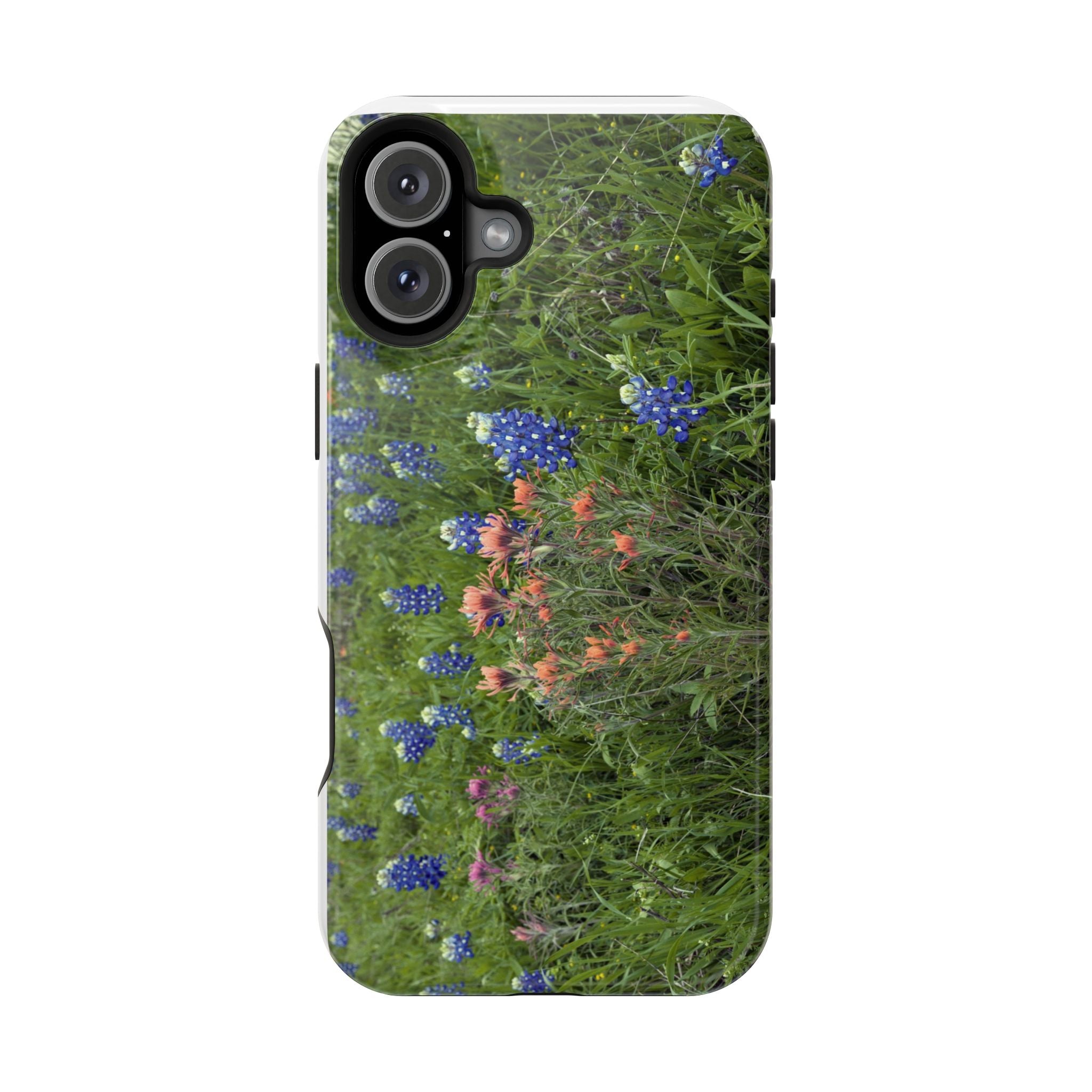 Texas Bluebonnets and Indian Paintbrushes