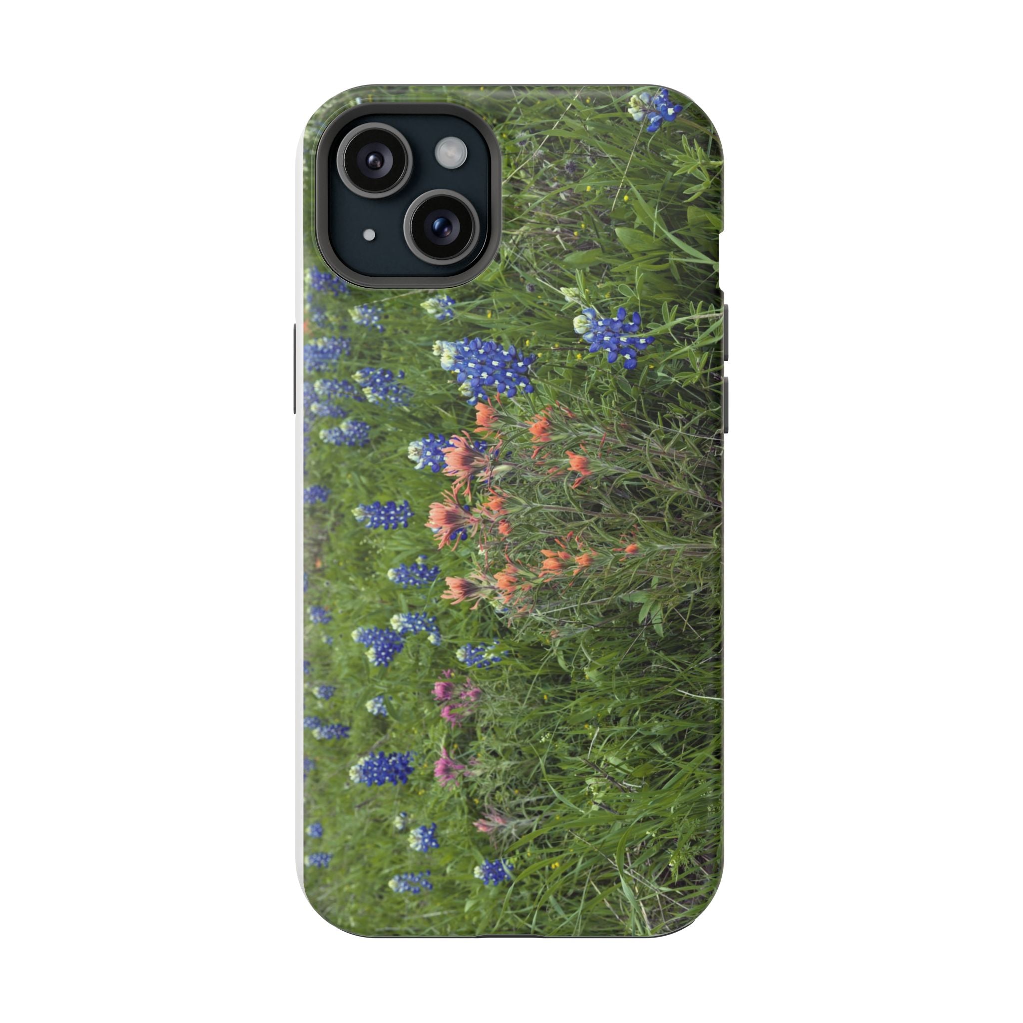 Texas Bluebonnets and Indian Paintbrushes