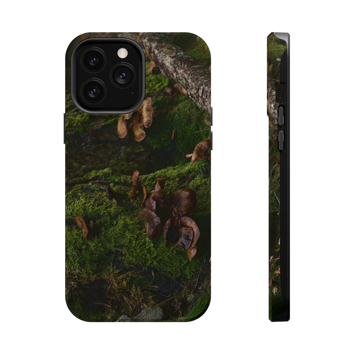 iPhone MagSafe Case | Acadia Forest Fungi | Acadia National Park | My Blu Horizon