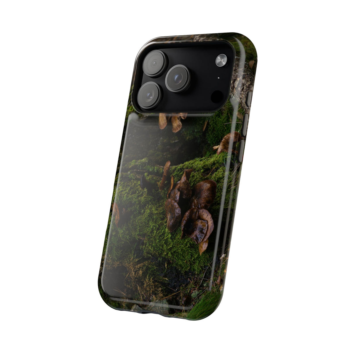 iPhone MagSafe Case | Acadia Forest Fungi | Acadia National Park | My Blu Horizon