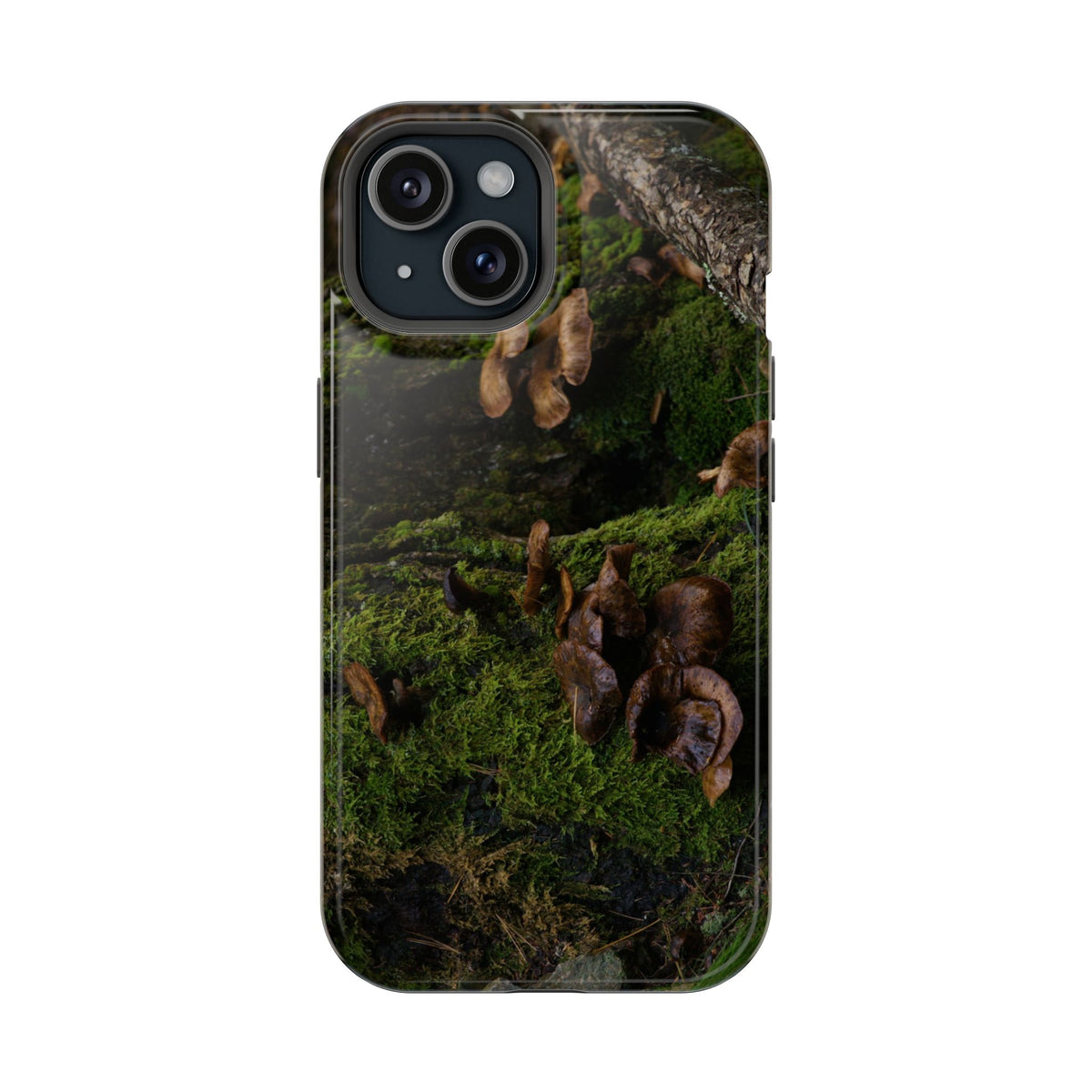 iPhone MagSafe Case | Acadia Forest Fungi | Acadia National Park | My Blu Horizon