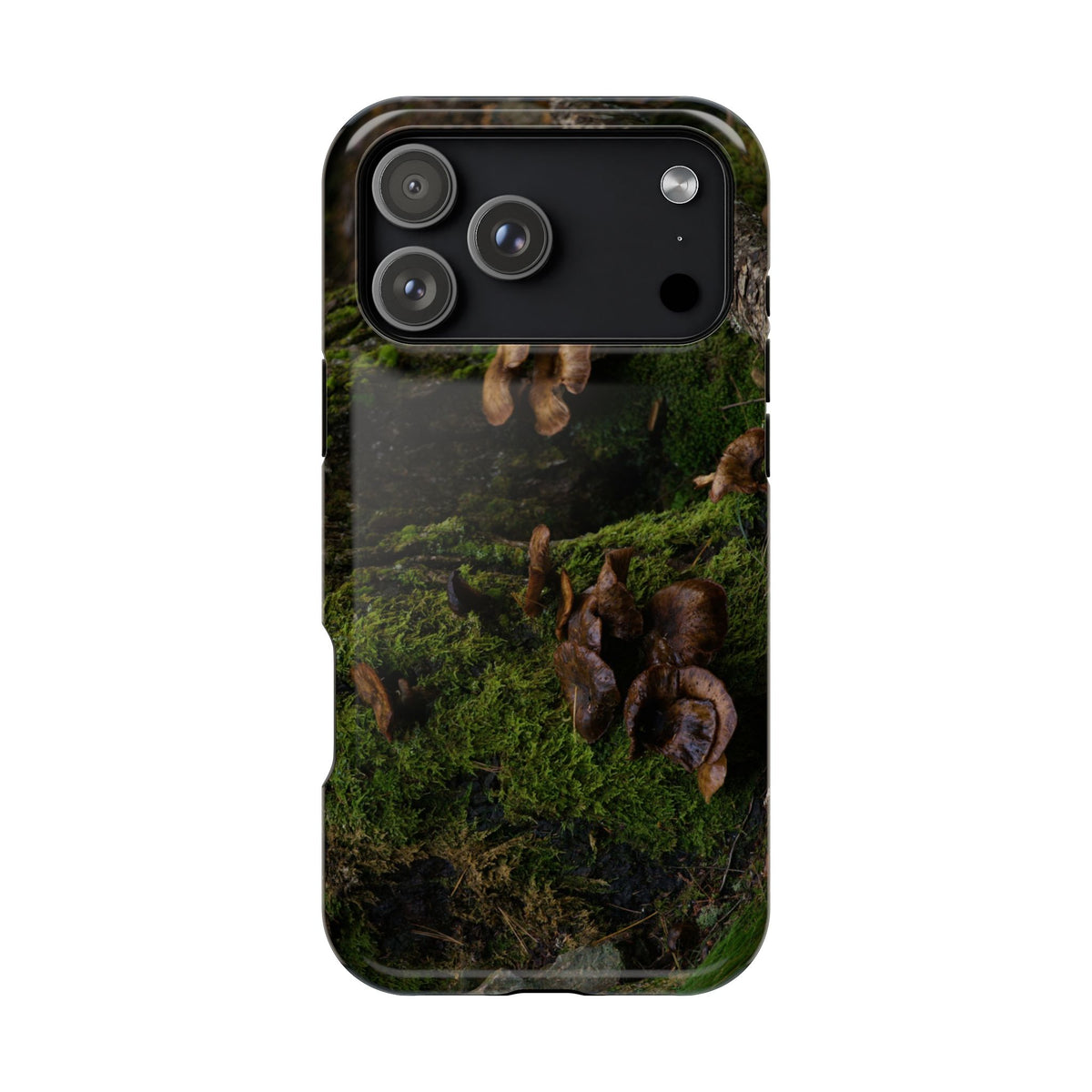 iPhone MagSafe Case | Acadia Forest Fungi | Acadia National Park | My Blu Horizon
