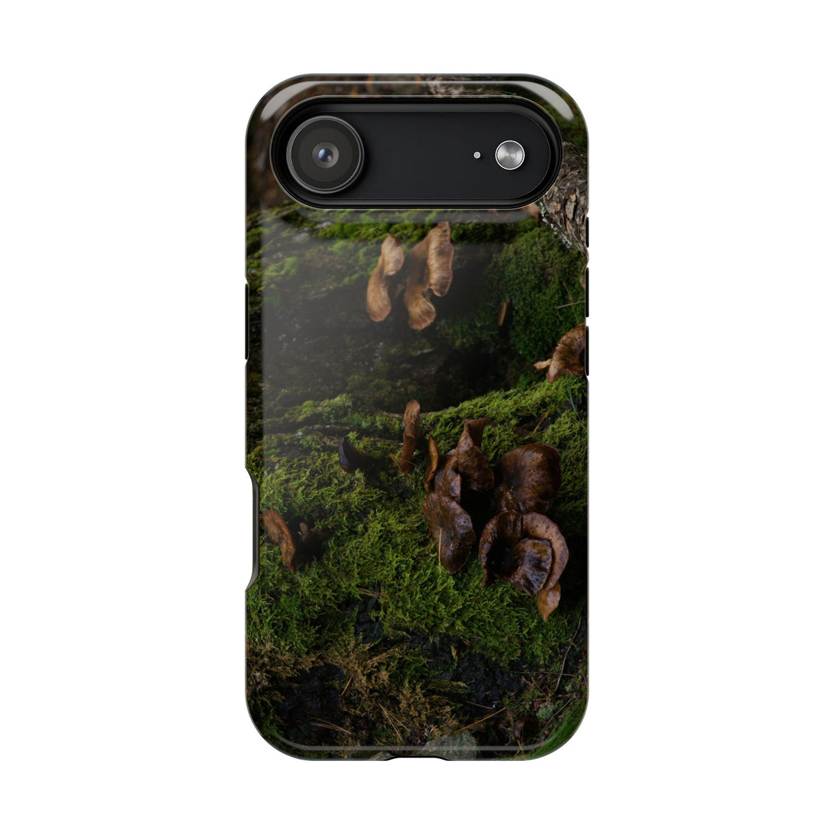 iPhone MagSafe Case | Acadia Forest Fungi | Acadia National Park | My Blu Horizon