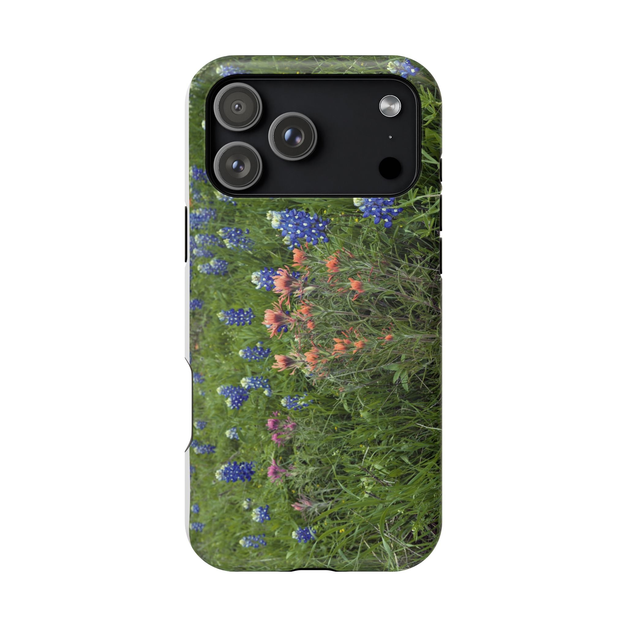 Texas Bluebonnets and Indian Paintbrushes