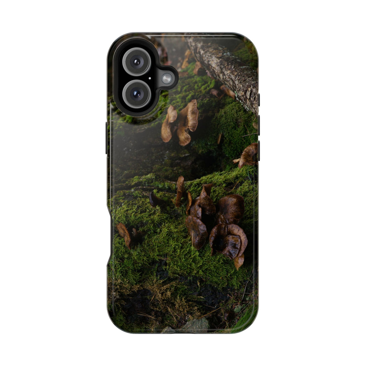 iPhone MagSafe Case | Acadia Forest Fungi | Acadia National Park | My Blu Horizon