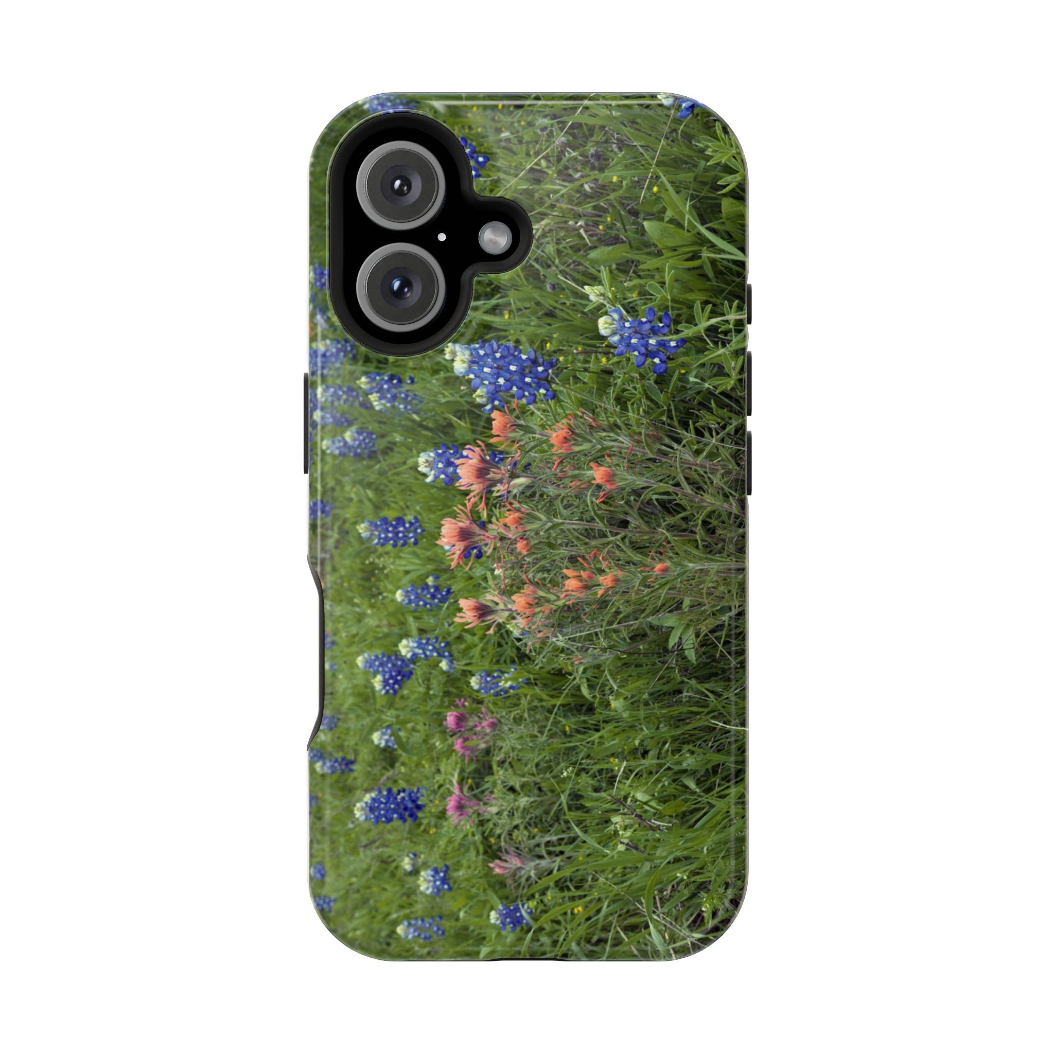 Texas Bluebonnets and Indian Paintbrushes
