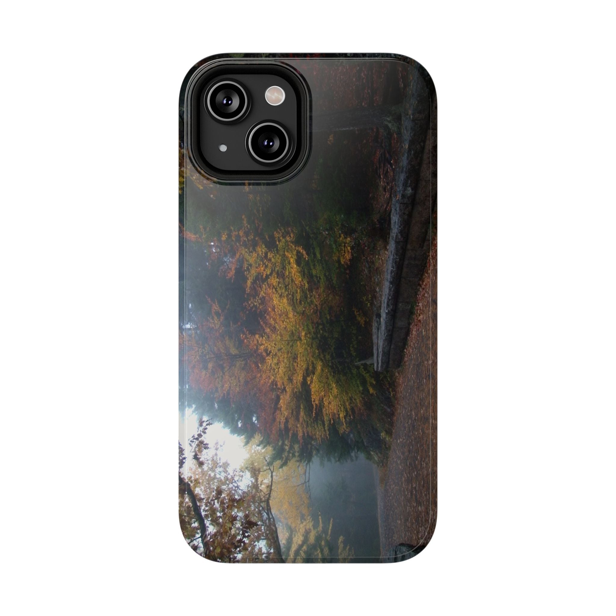 Phone Case | Waterfall Bridge Carriage Road View | Acadia National Park | My Blu Horizon