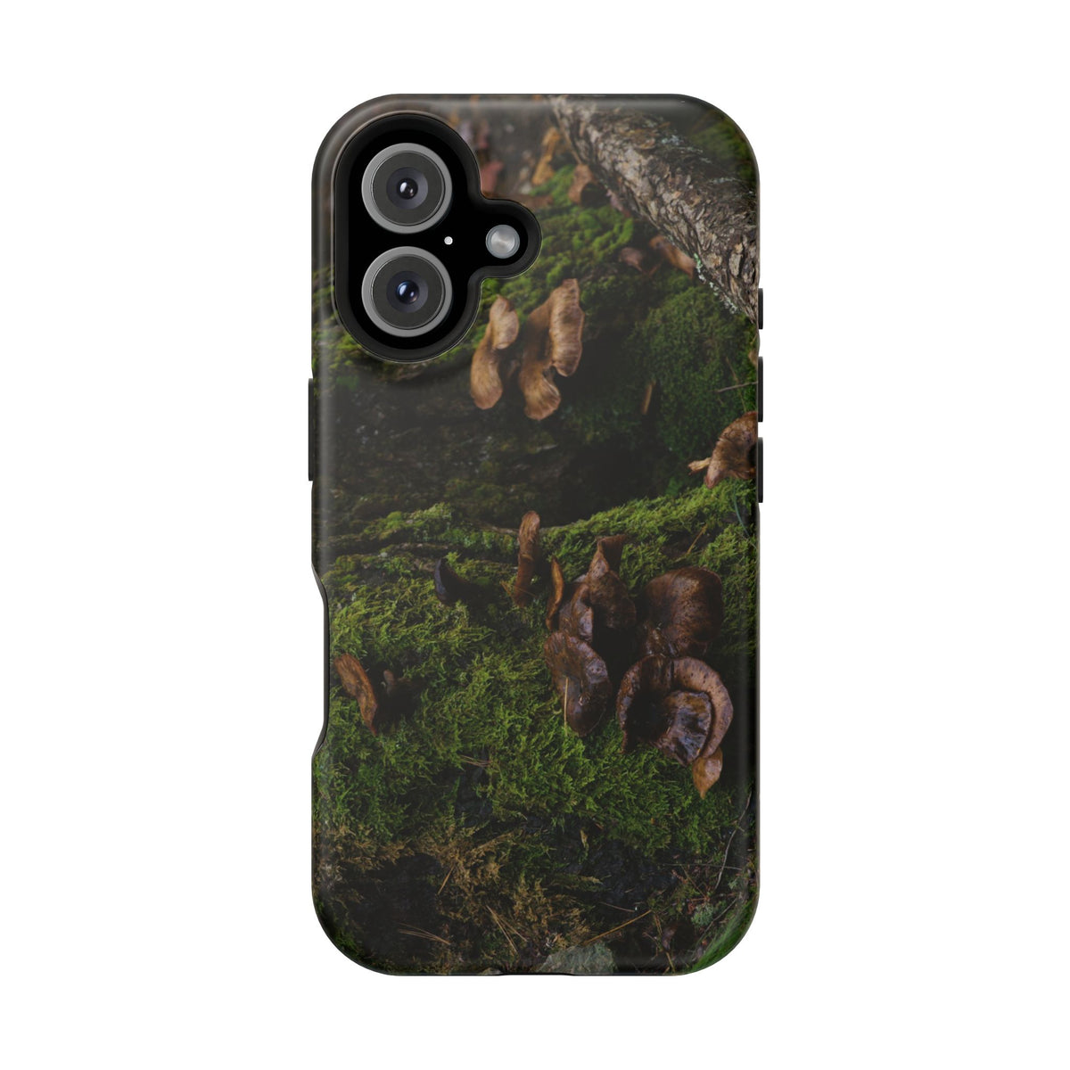 iPhone MagSafe Case | Acadia Forest Fungi | Acadia National Park | My Blu Horizon