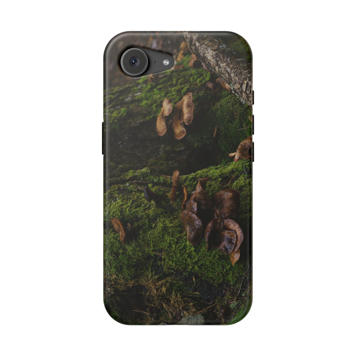 iPhone MagSafe Case | Acadia Forest Fungi | Acadia National Park | My Blu Horizon