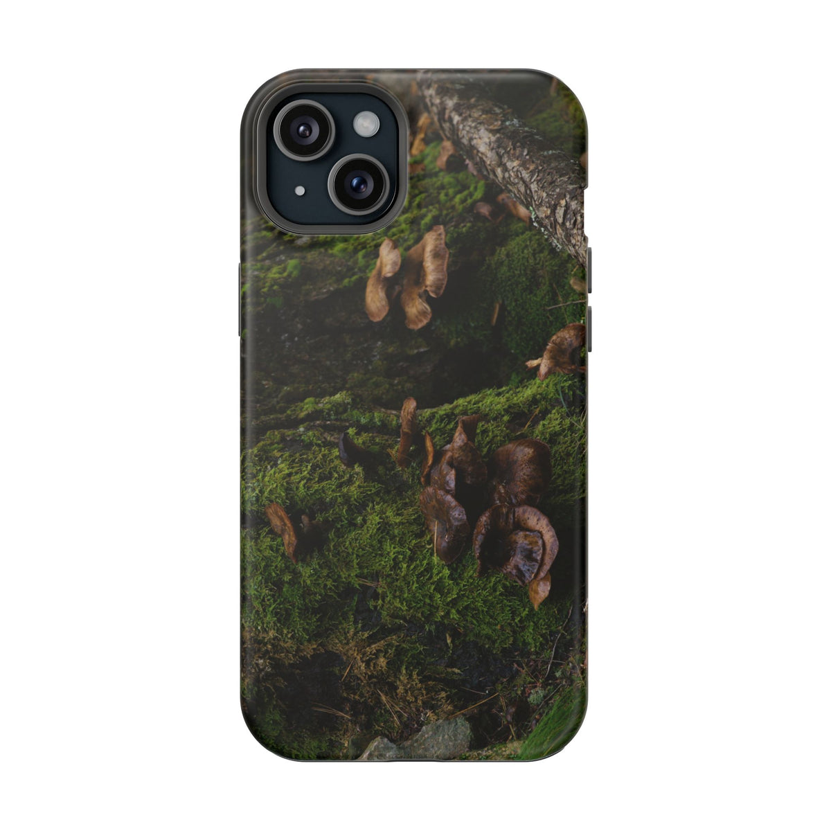 iPhone MagSafe Case | Acadia Forest Fungi | Acadia National Park | My Blu Horizon