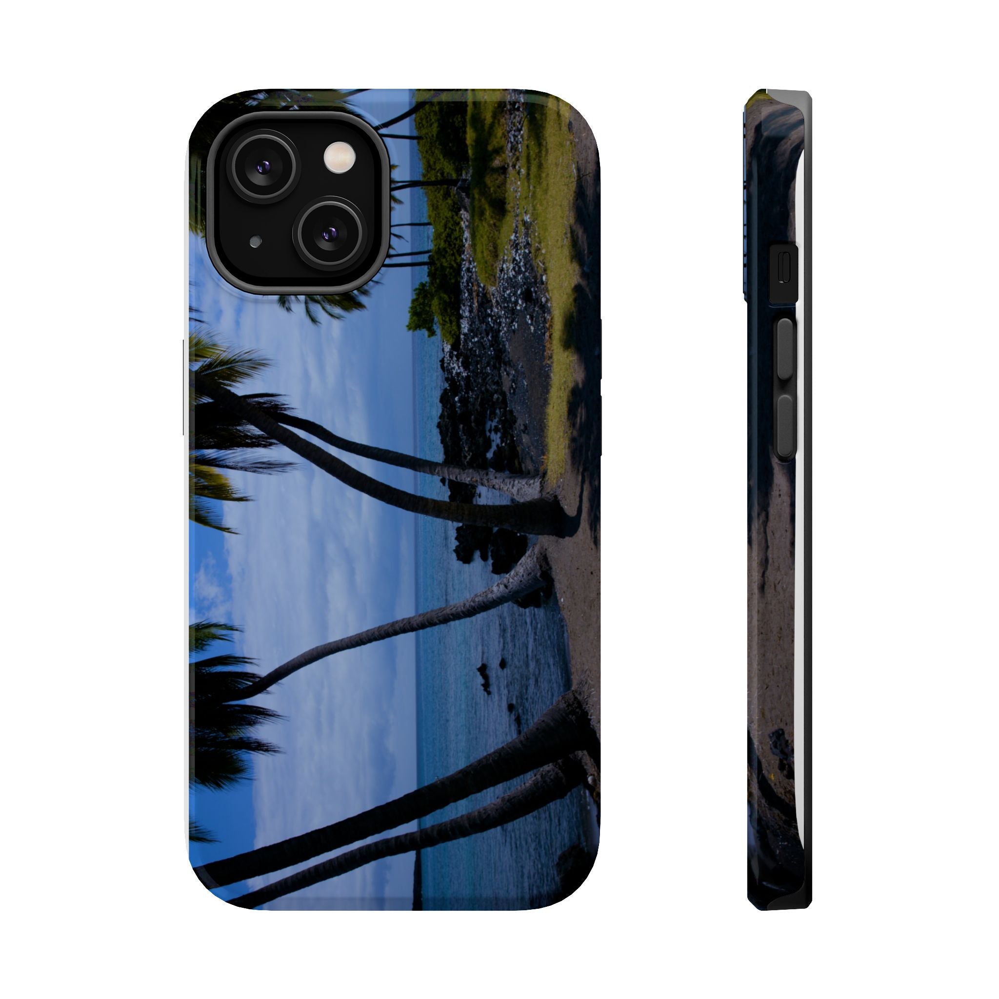Hawaiian Beach and Palm Trees