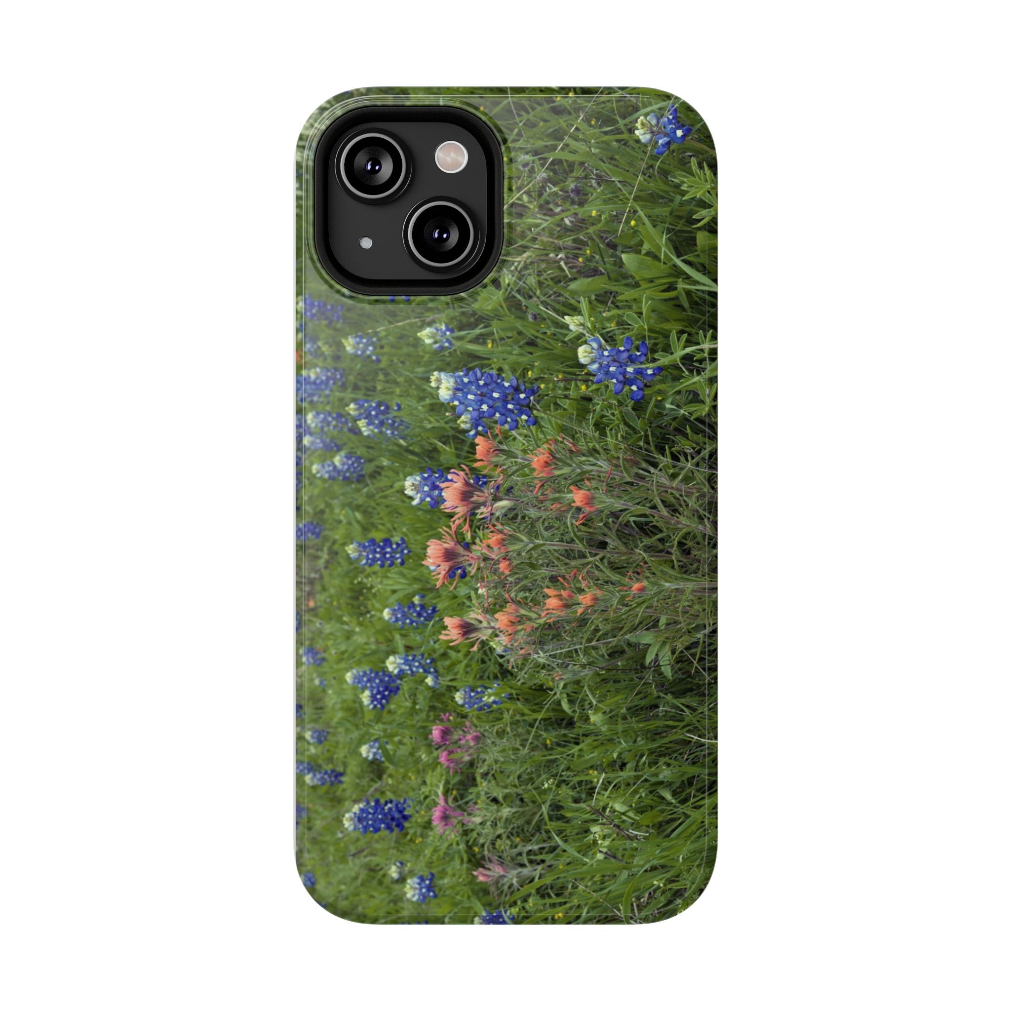 Texas Bluebonnets and Indian Paintbrushes