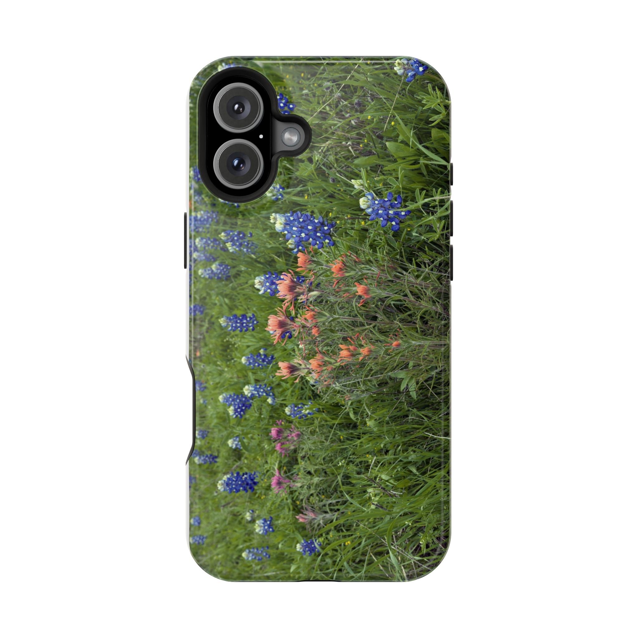 Texas Bluebonnets and Indian Paintbrushes